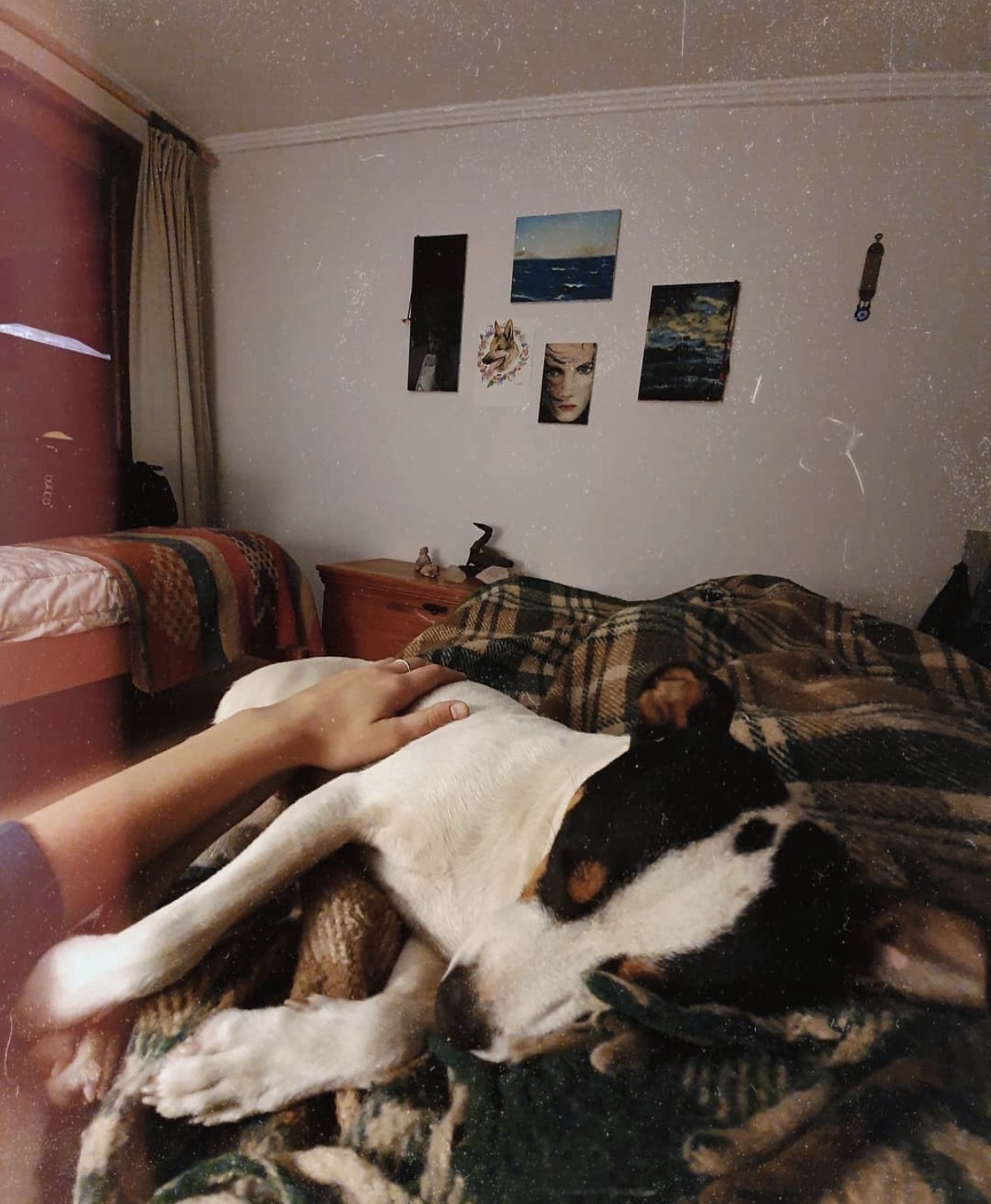 image-42