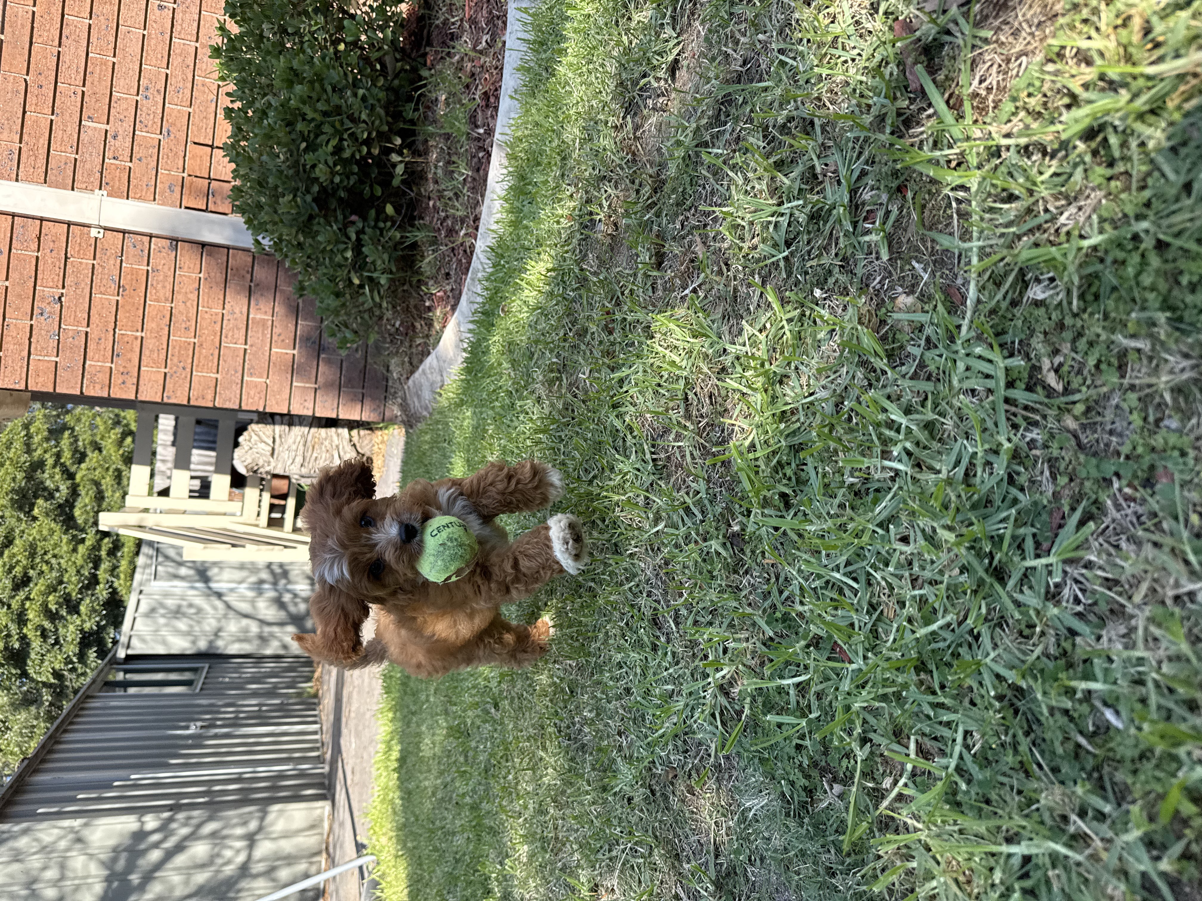 image-6