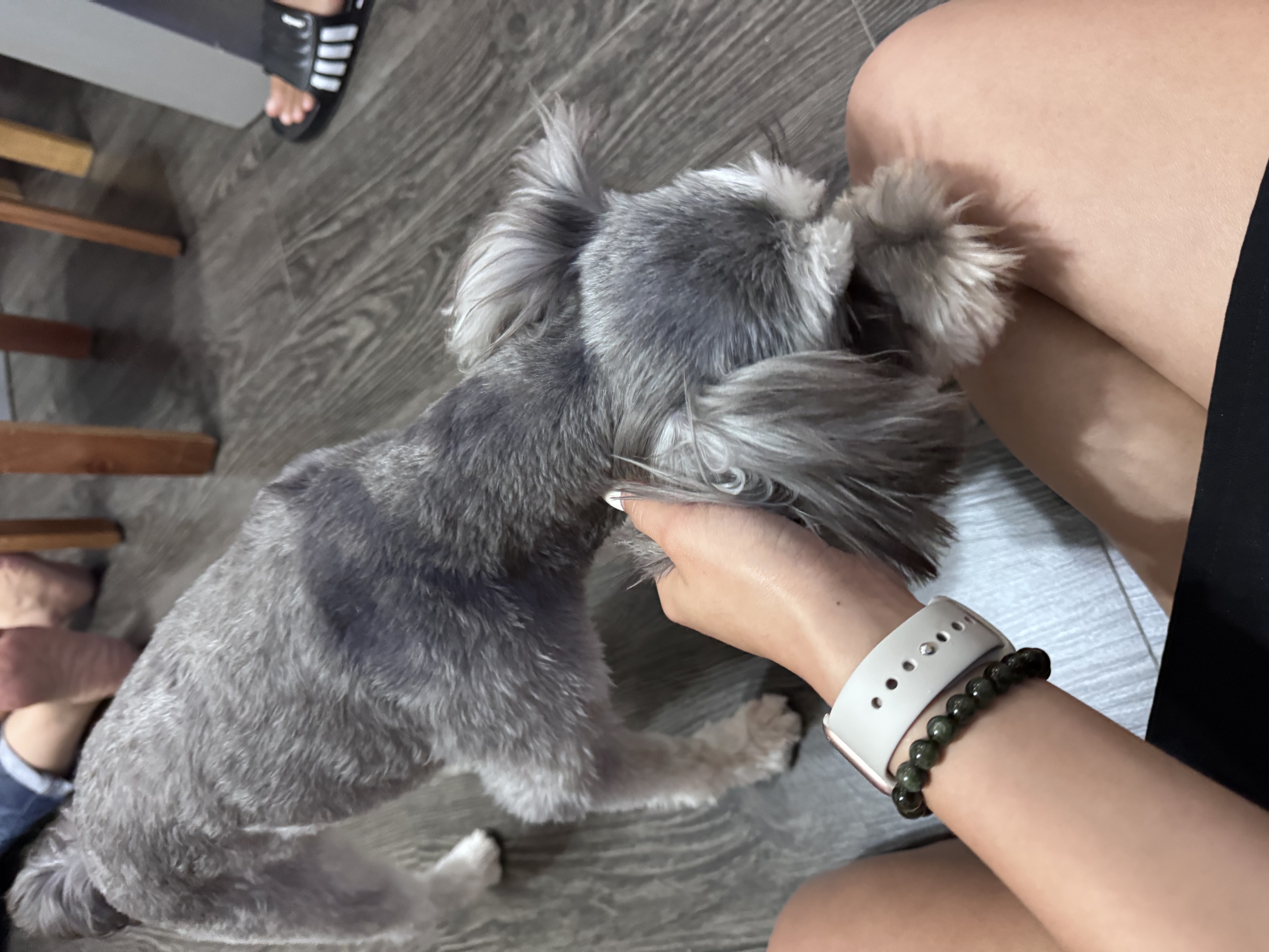 image-8