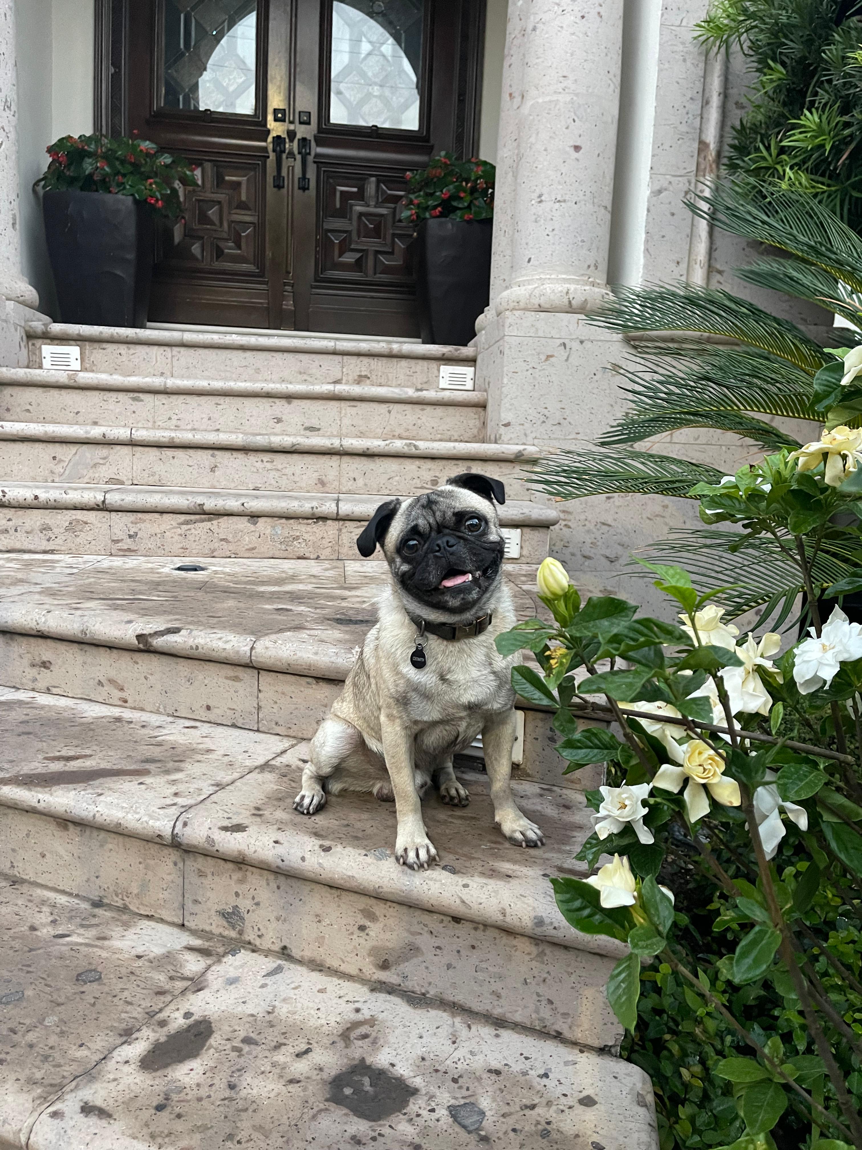 image-11