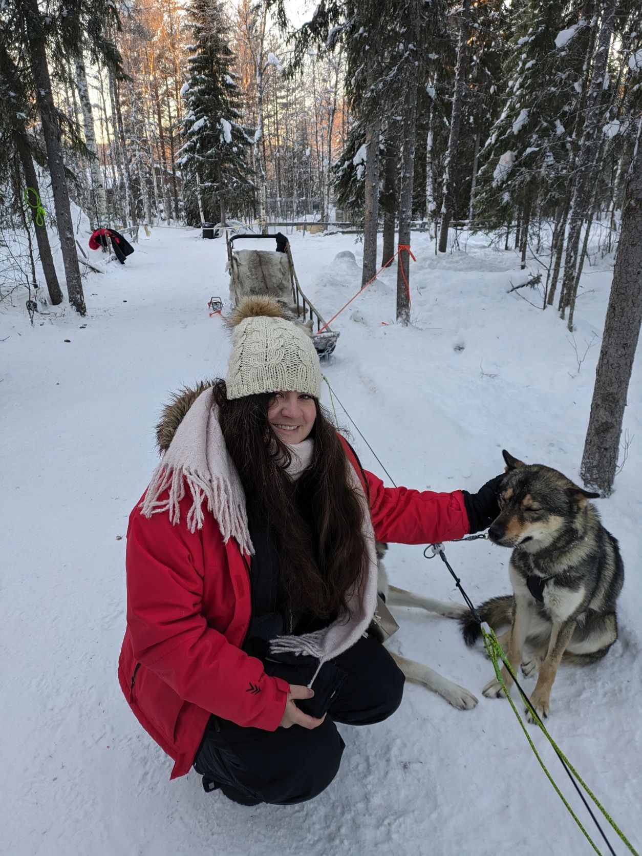 image-7