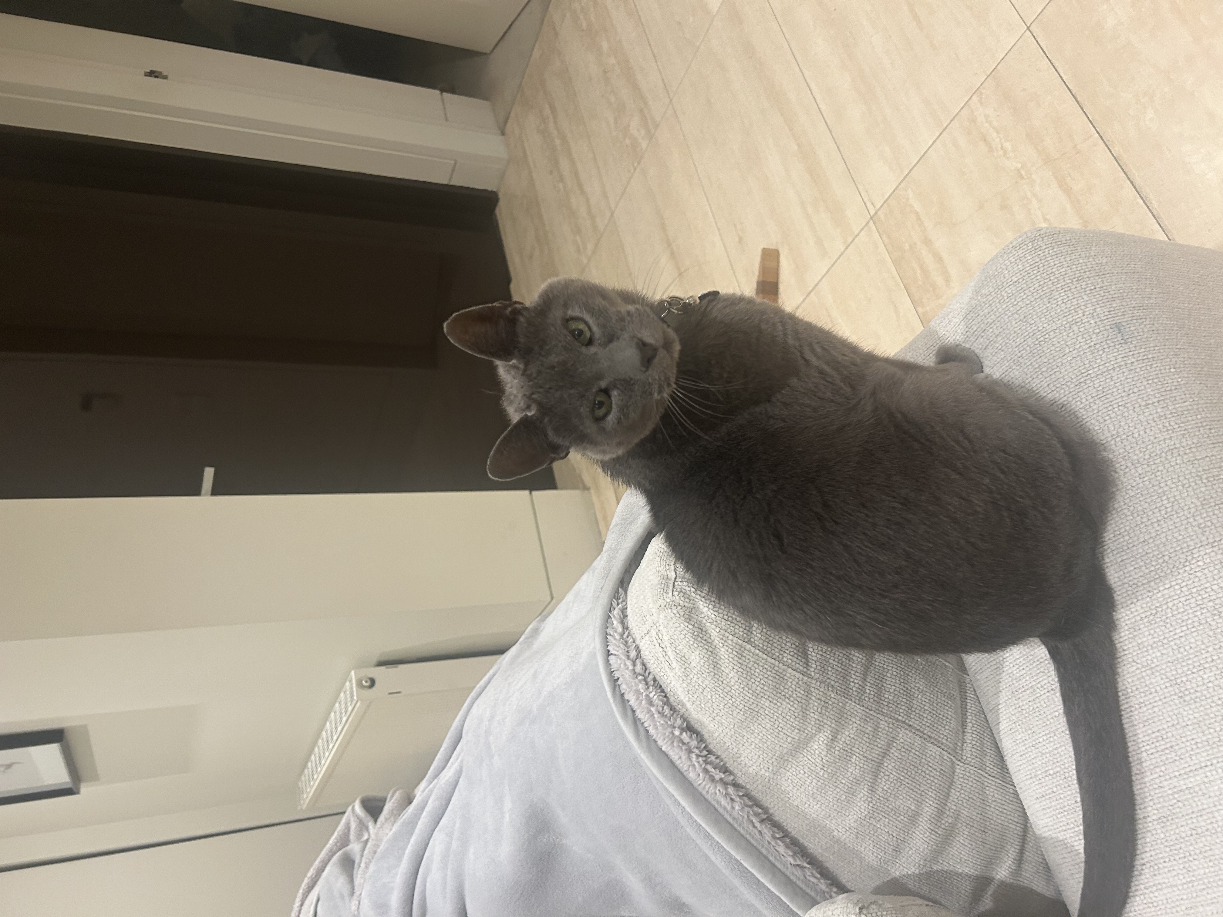 image-6