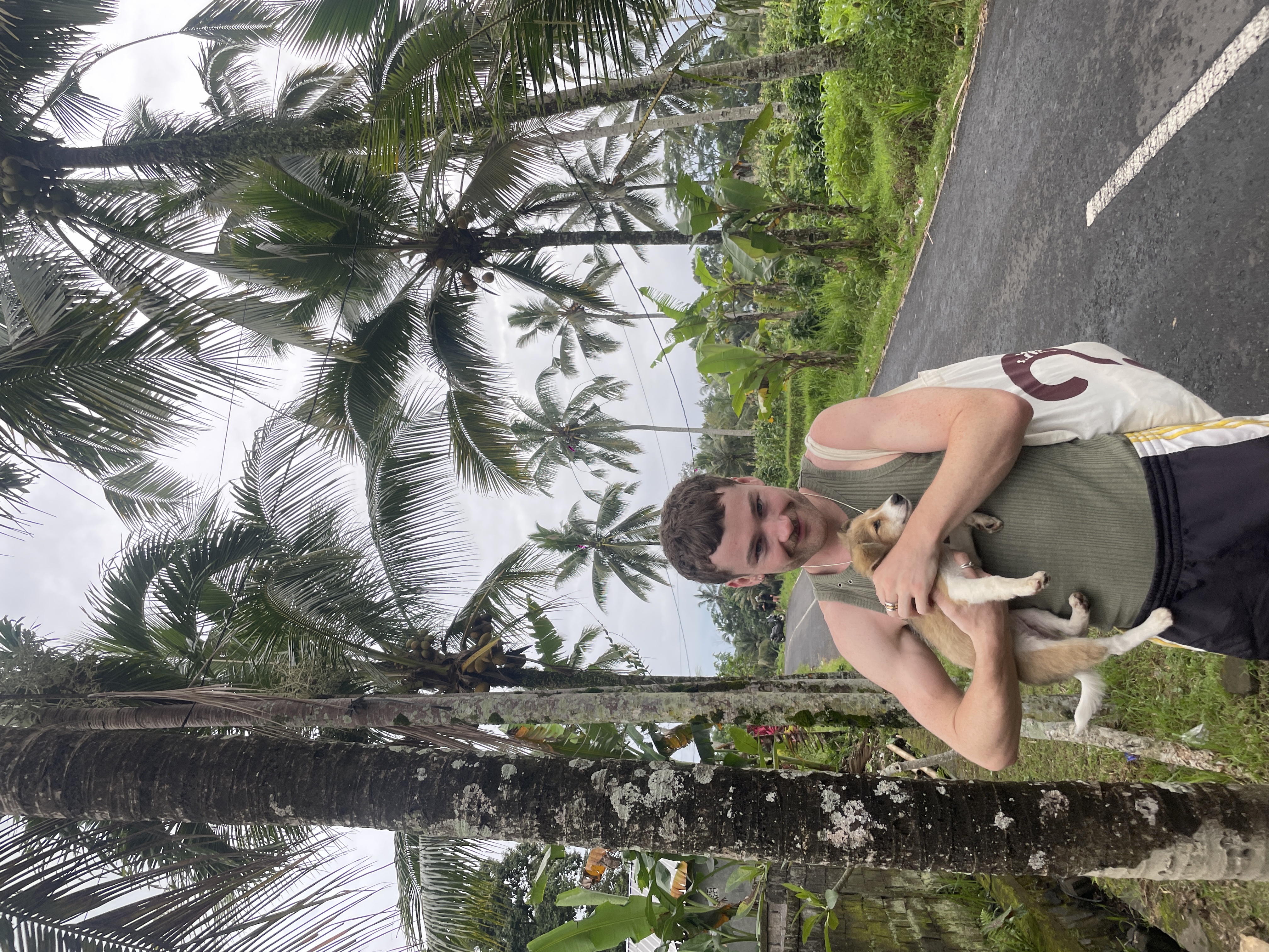 image-5