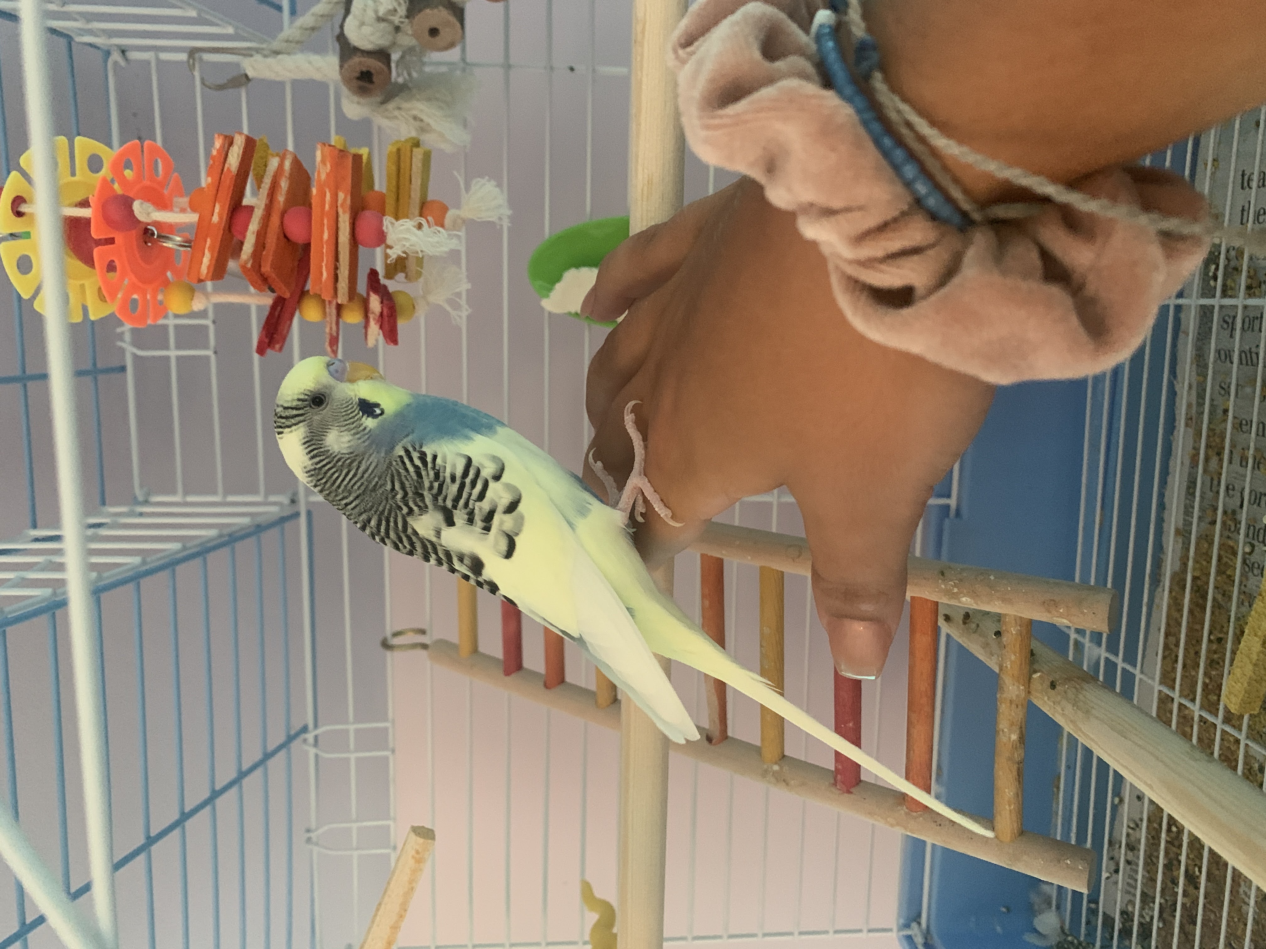 image-6