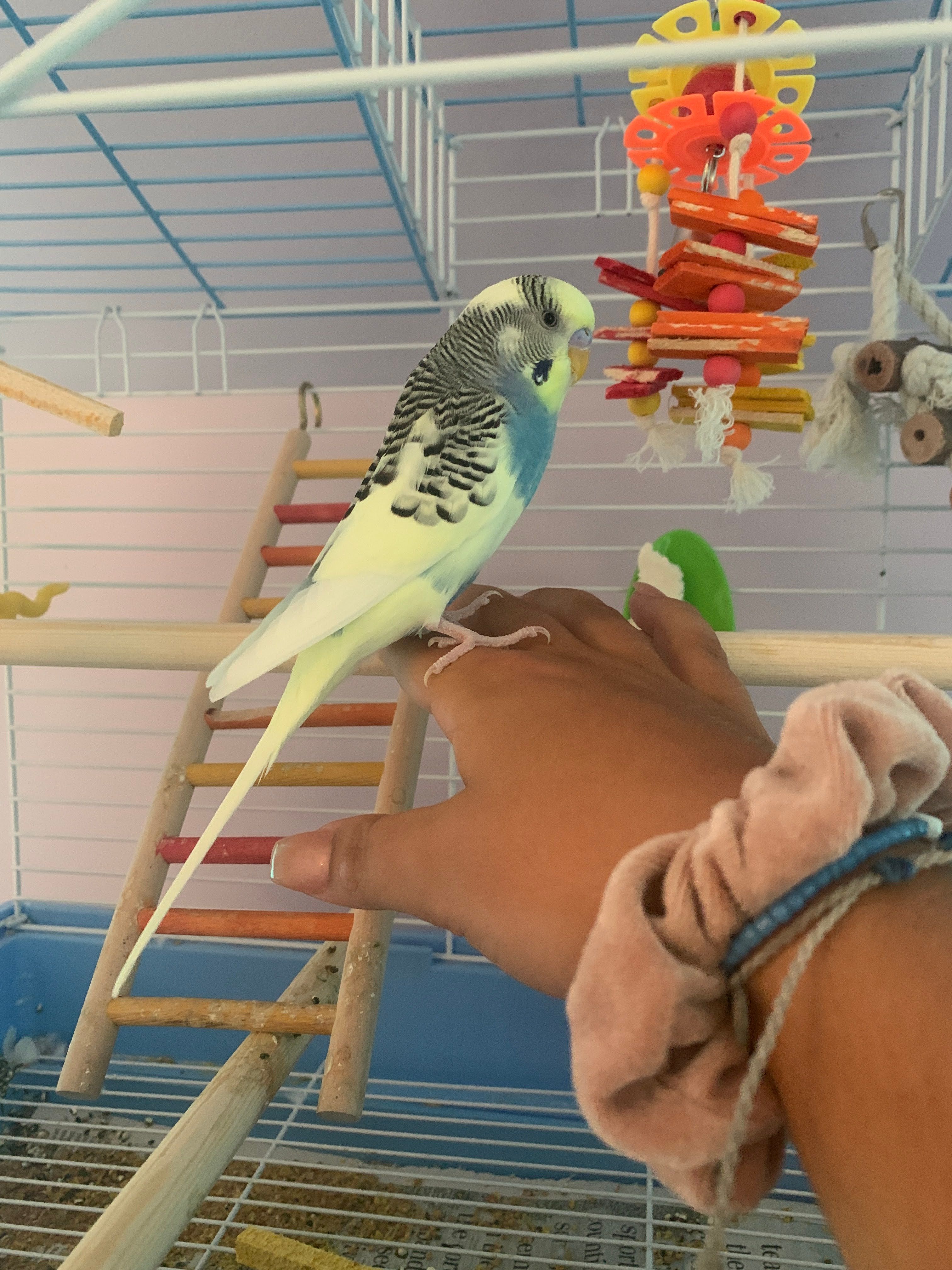 image-6