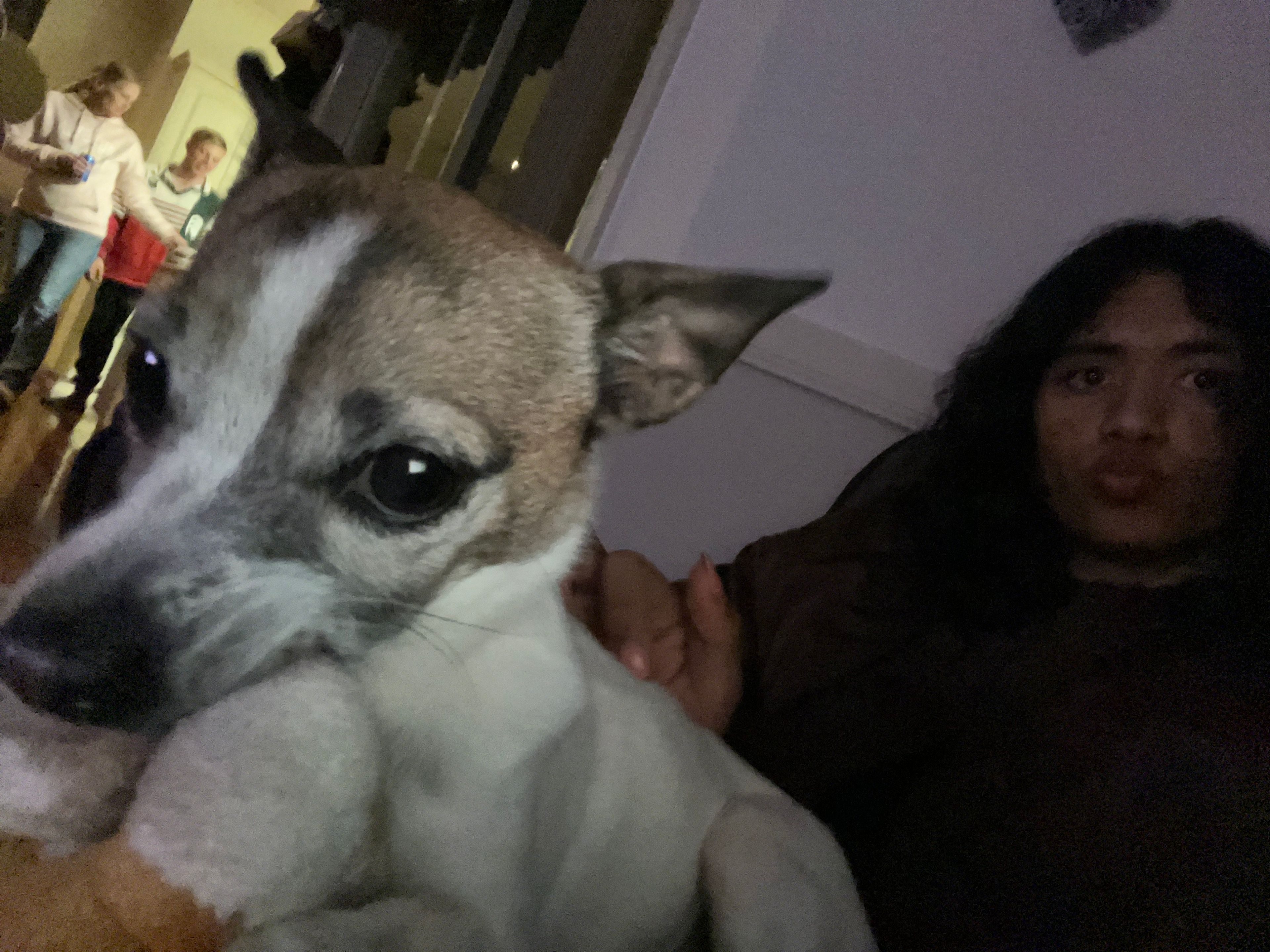 image-4