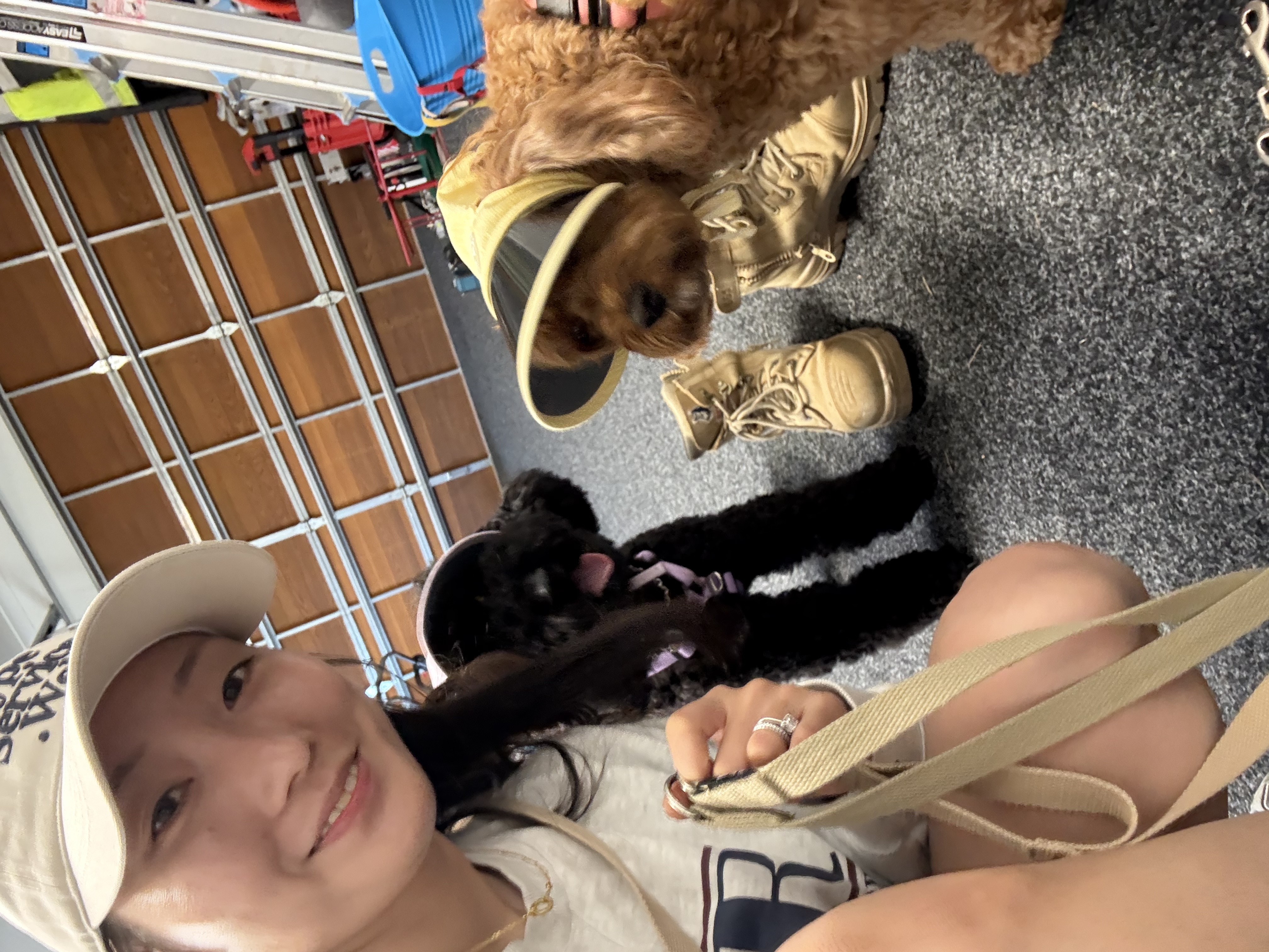 image-4