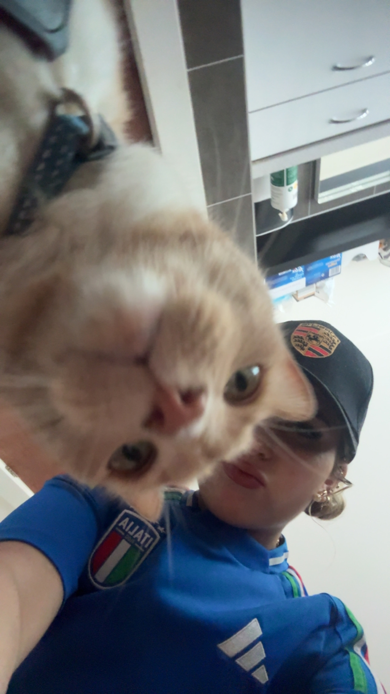 image-6