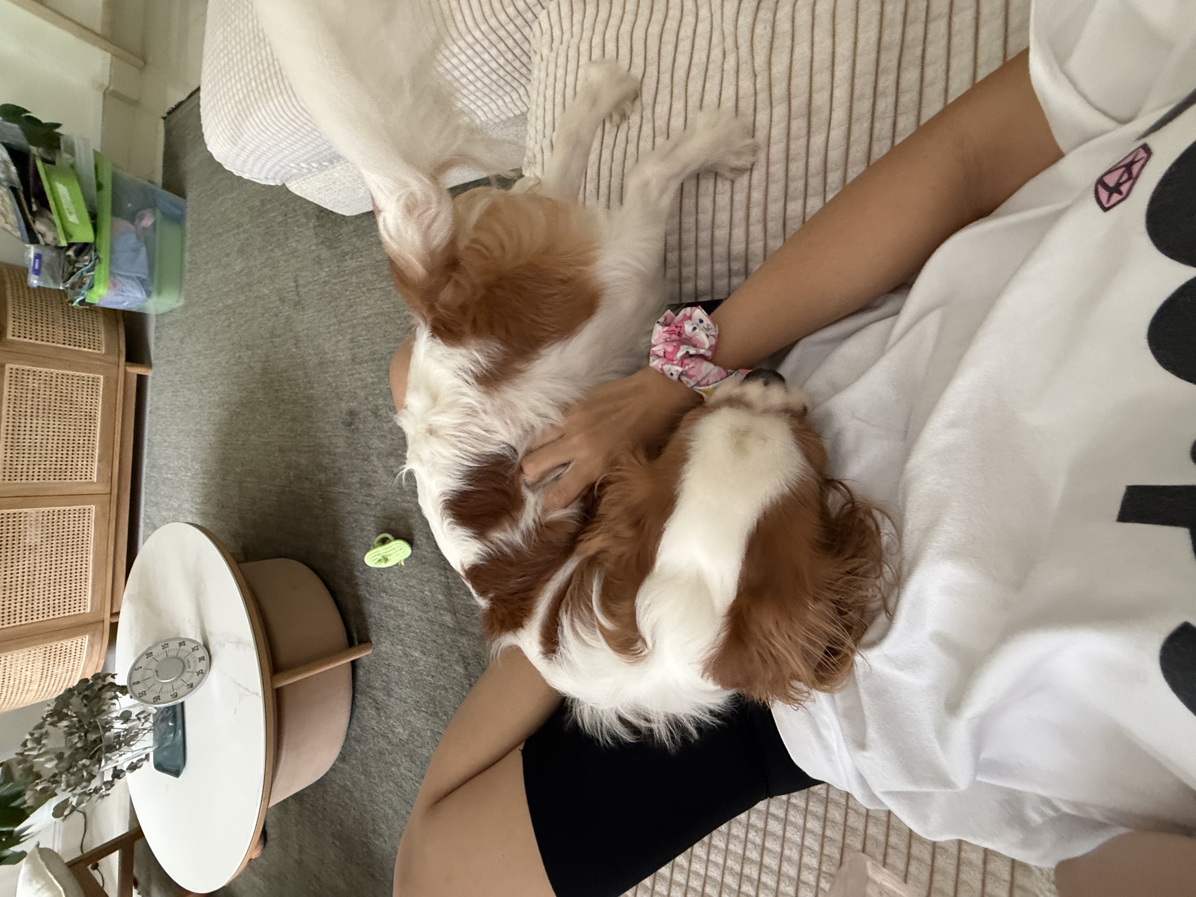 image-7