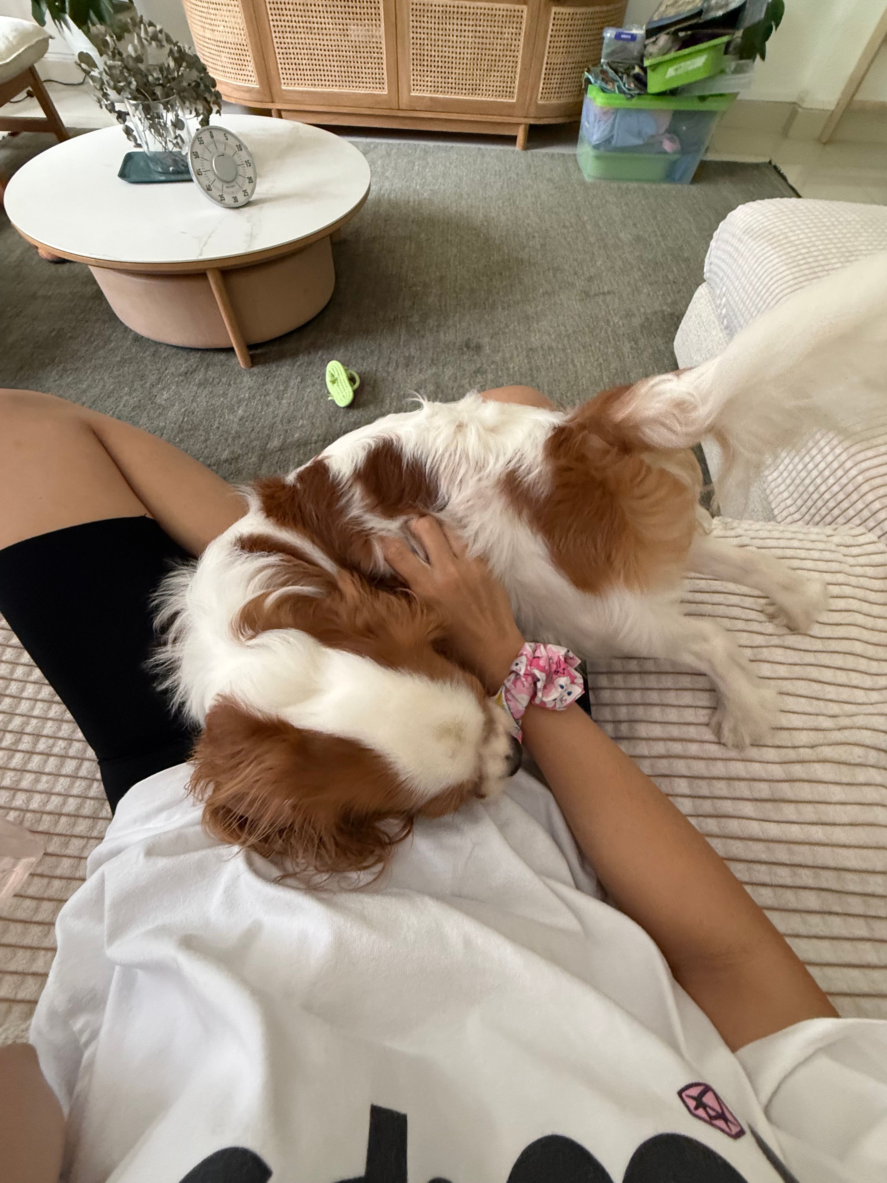 image-7