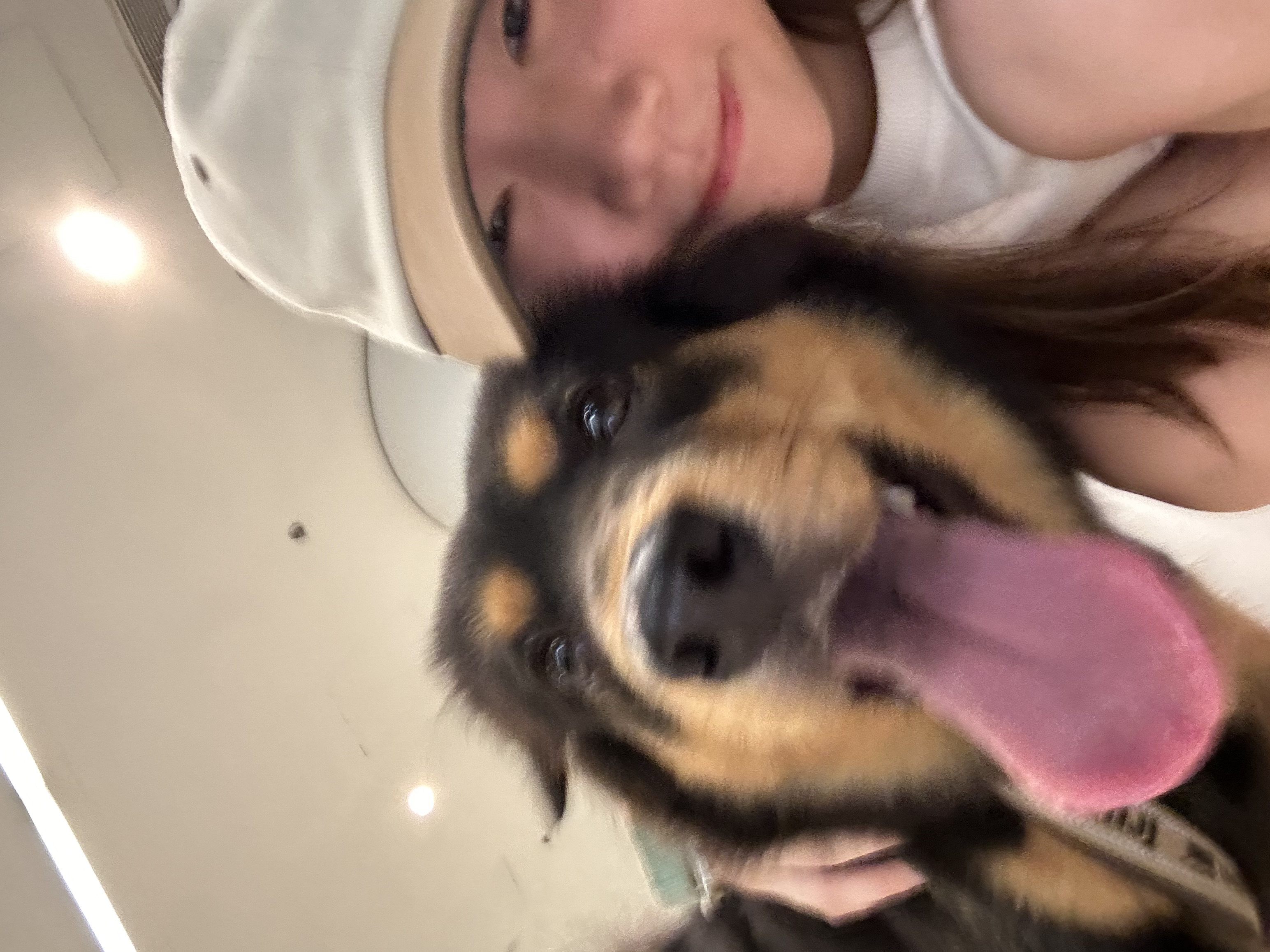 image-6
