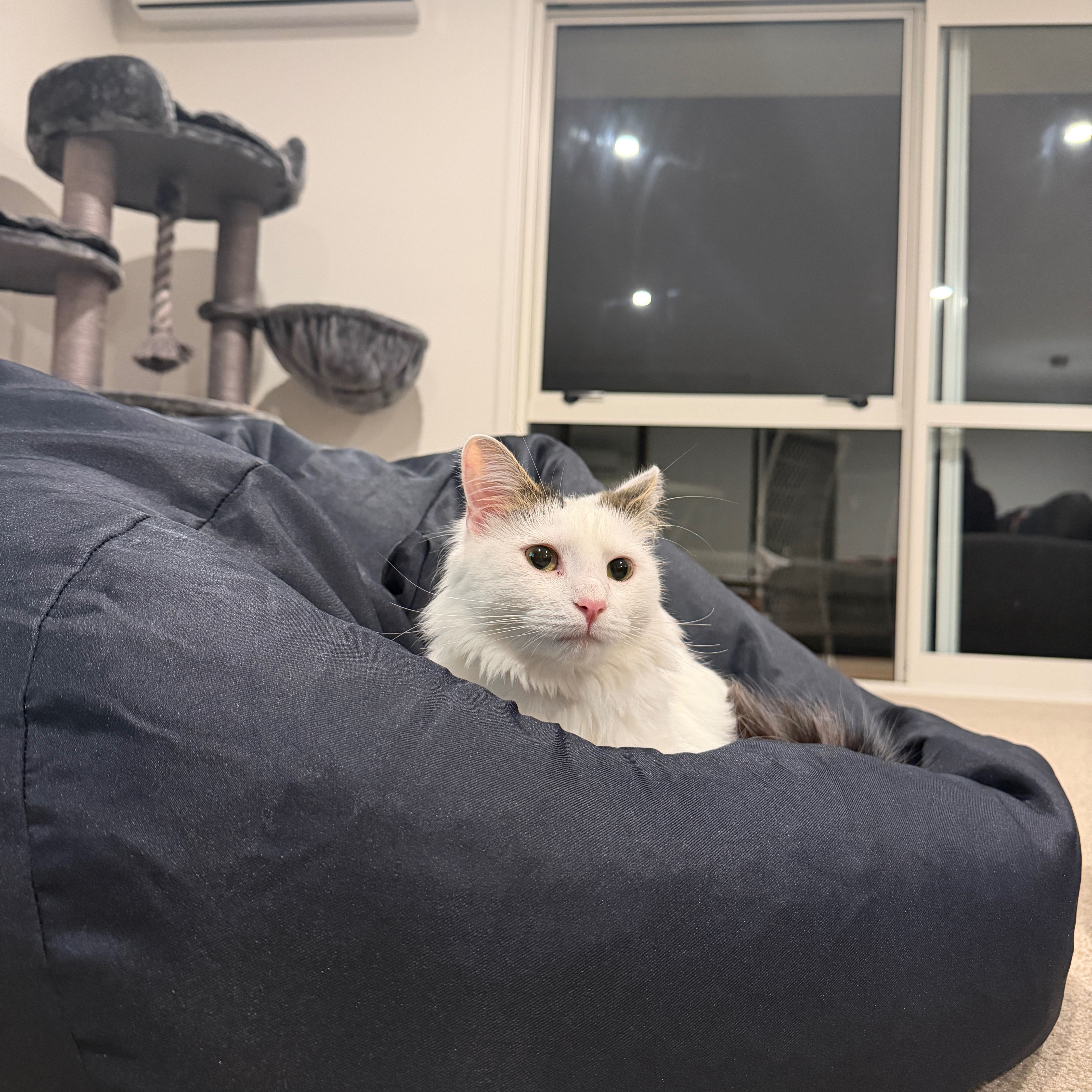 Winnie 