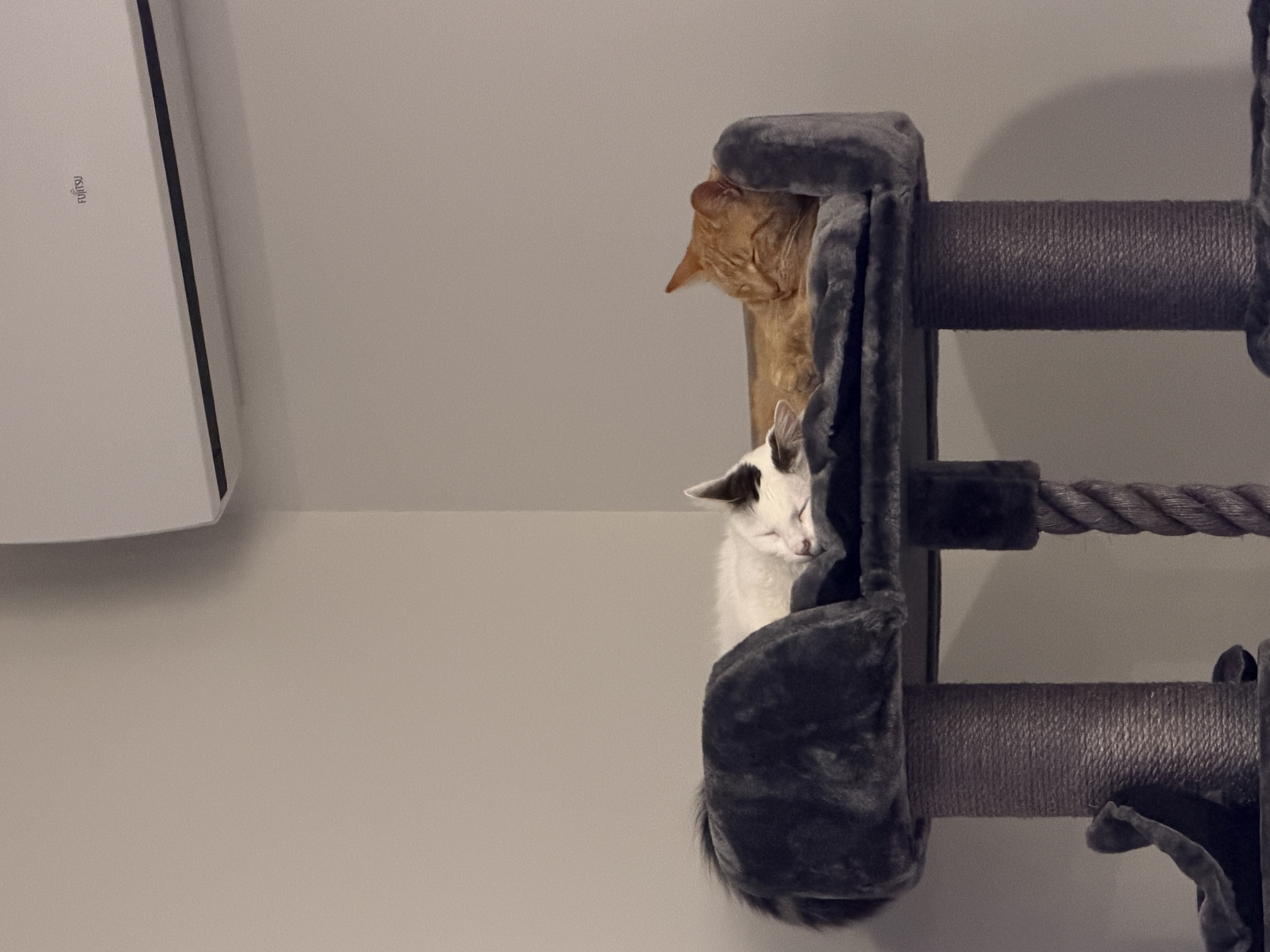 image-8