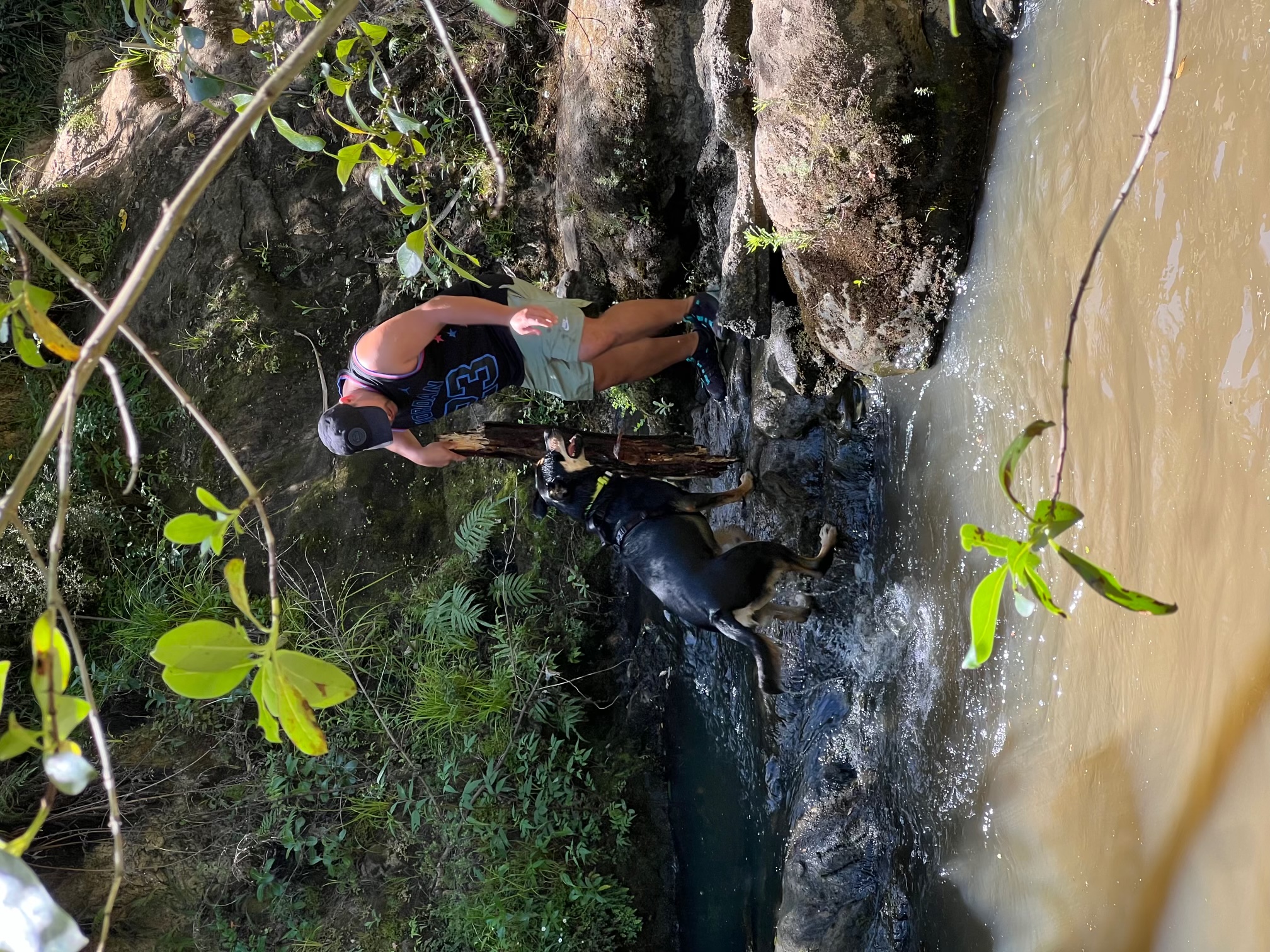 image-6