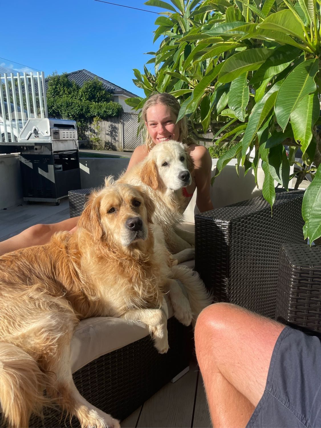 image-4
