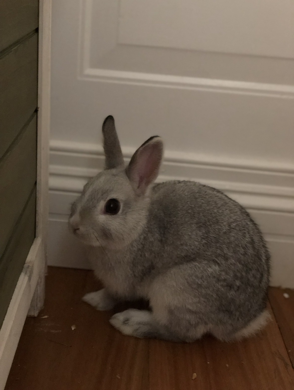 image-18
