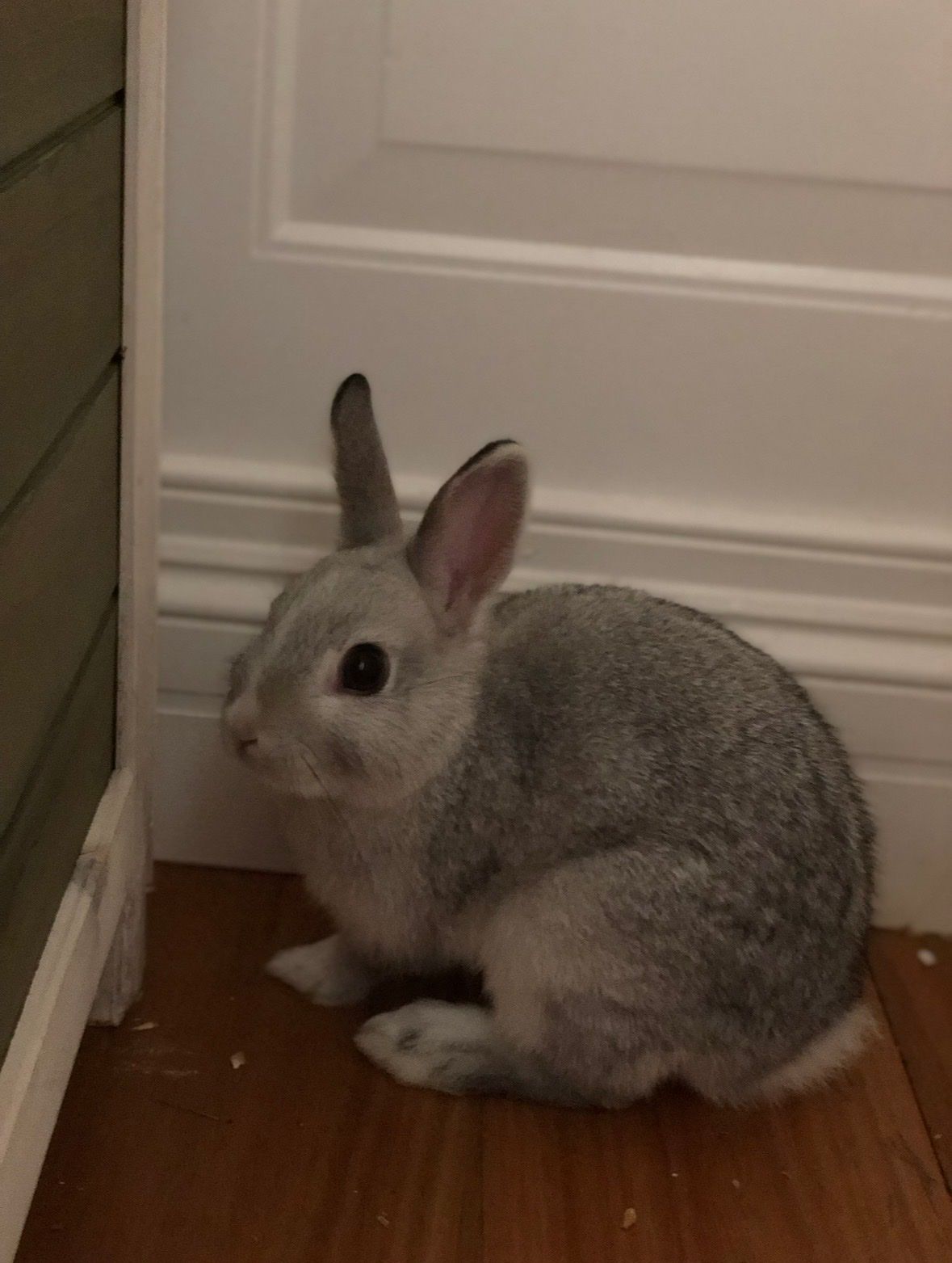 image-18