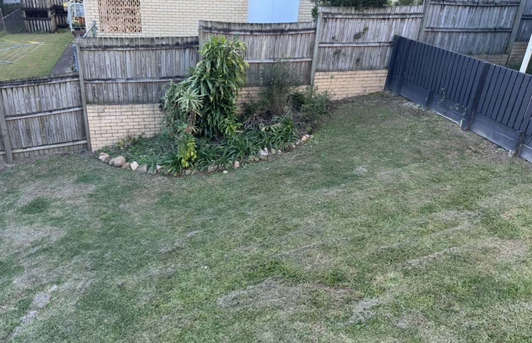 image-25