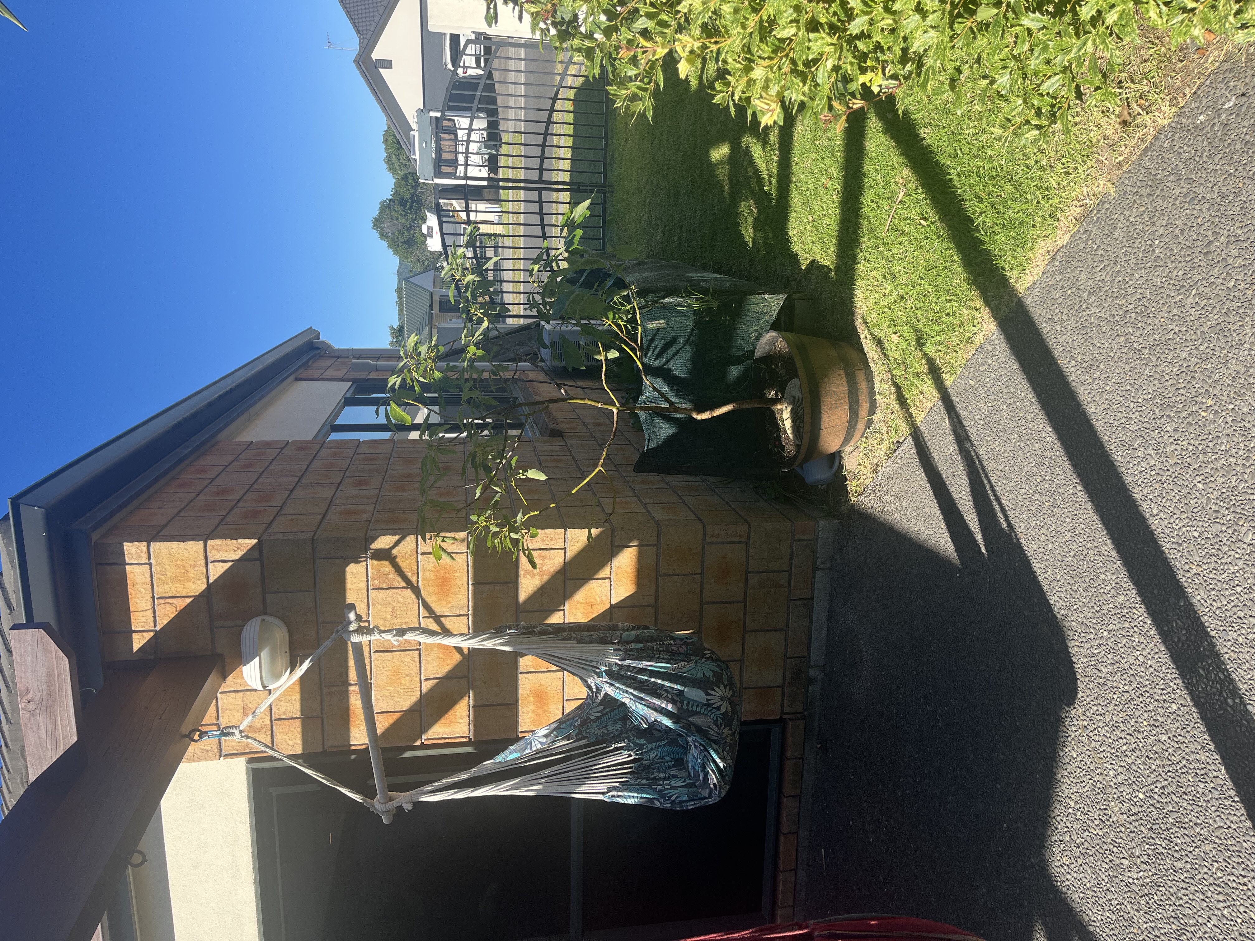 image-17