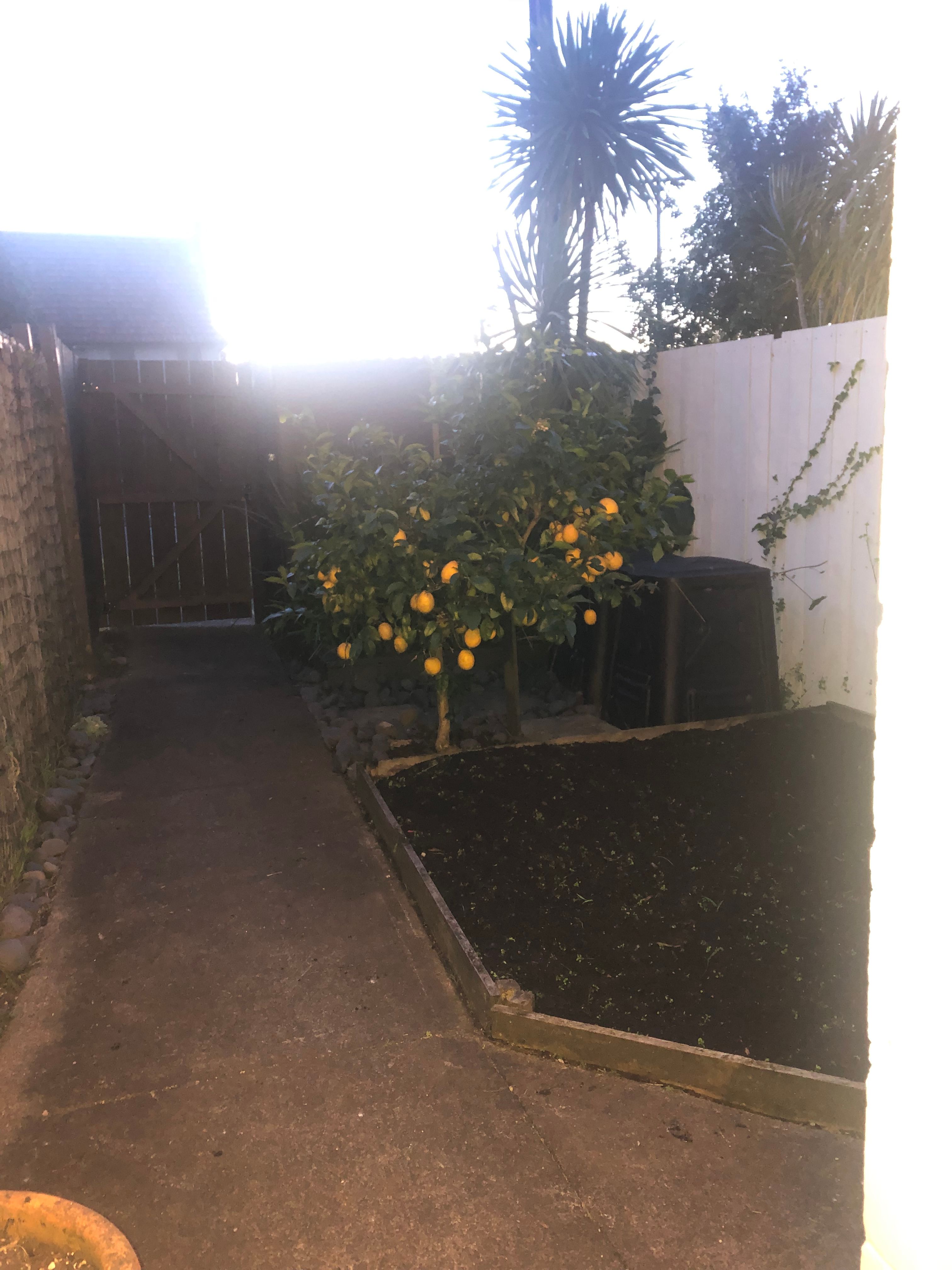 image-11