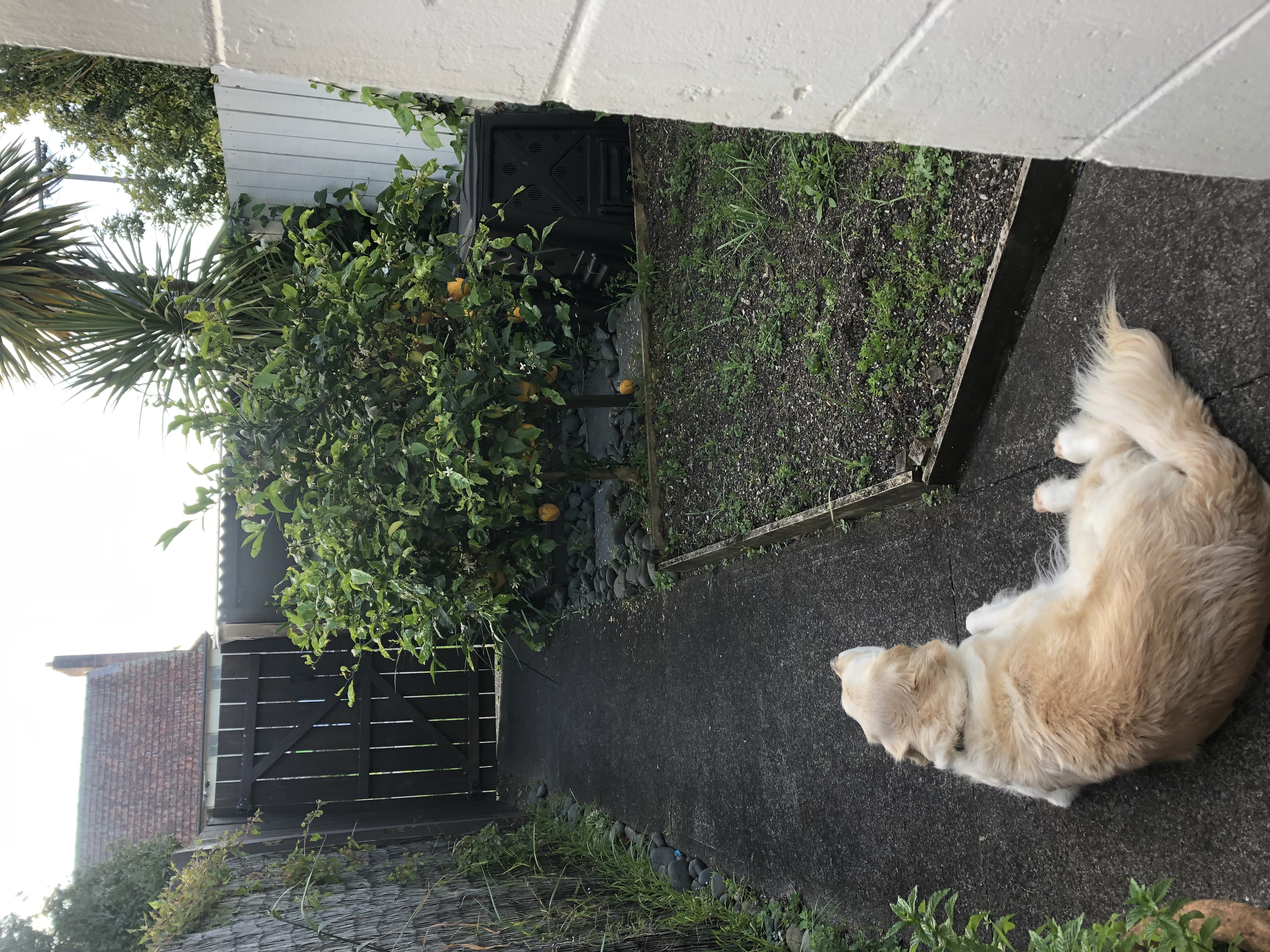 image-14