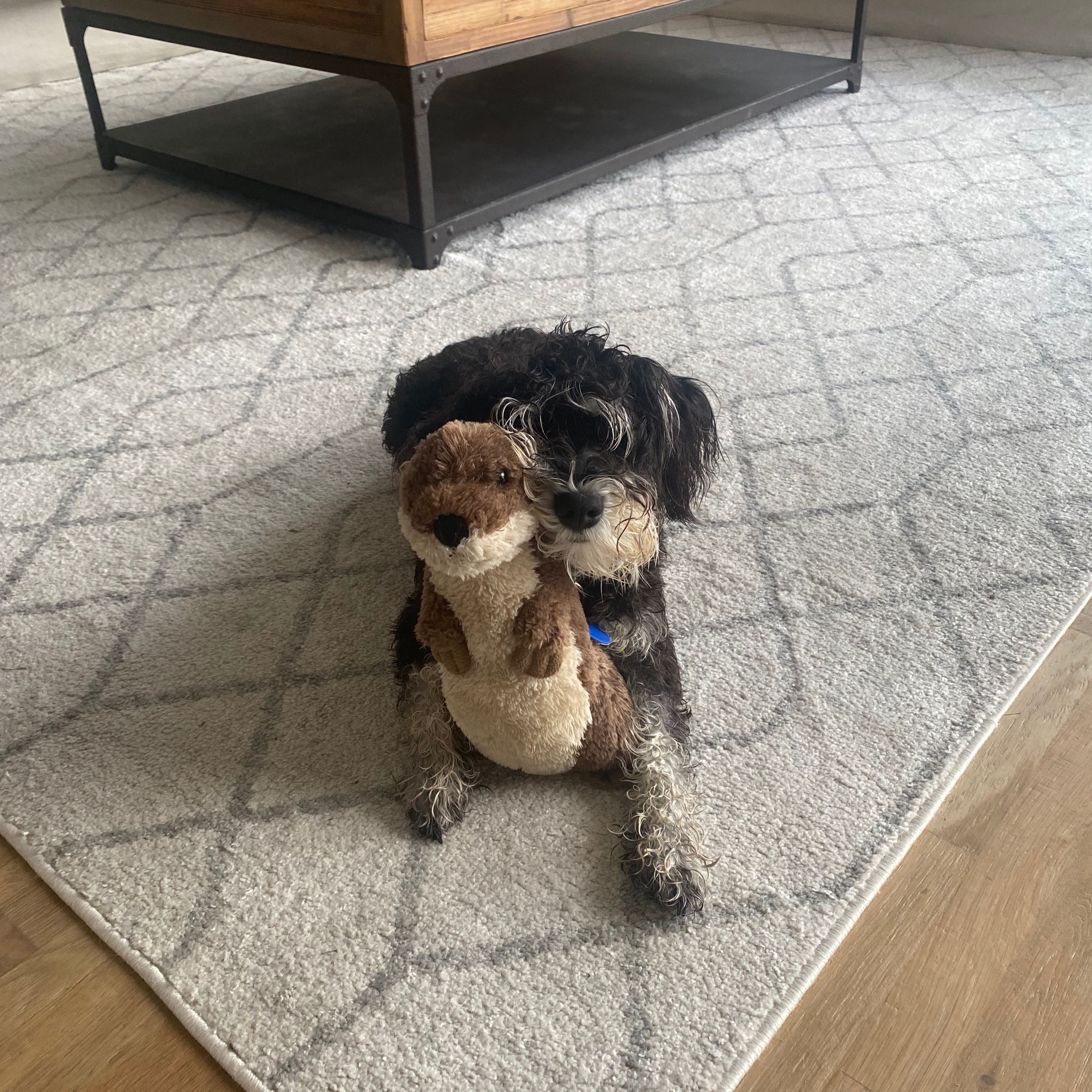 Watson