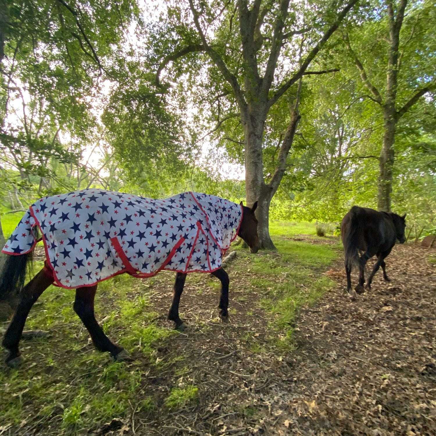 huge amount of horses as my mother rescues and rehabilitates :)