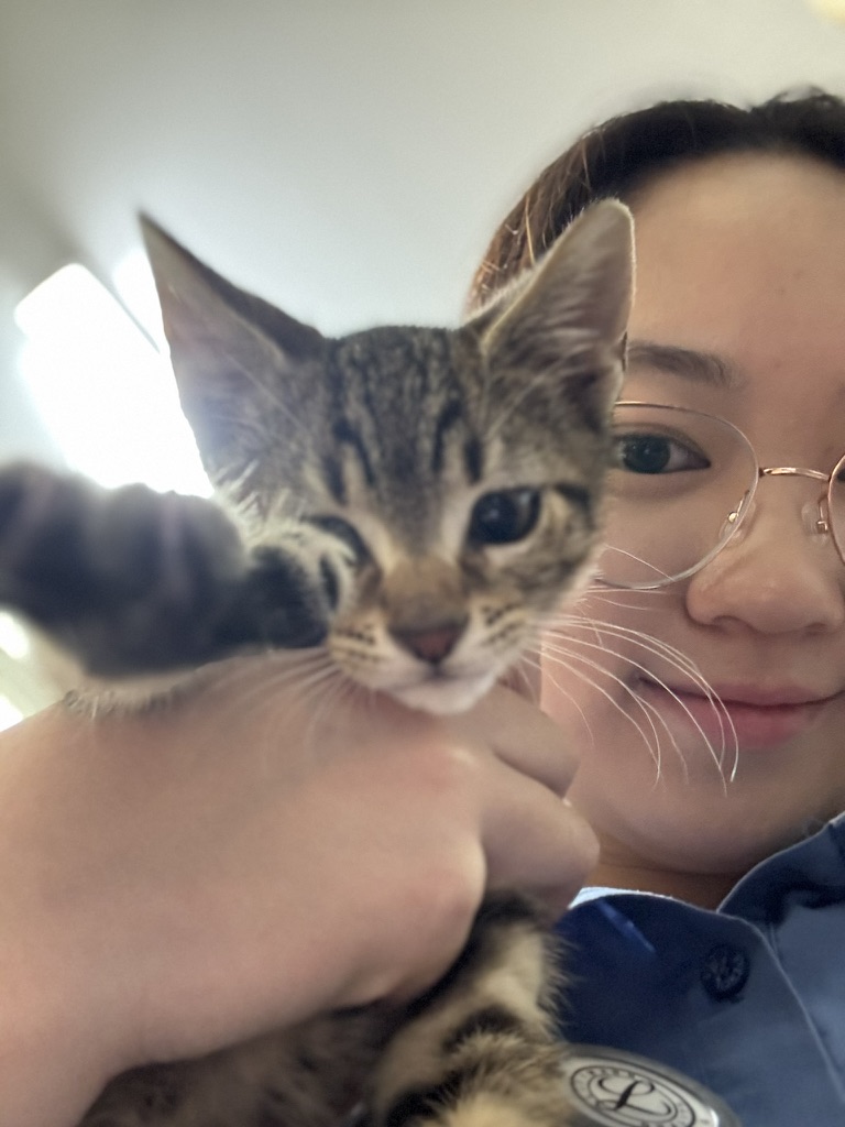 image-6