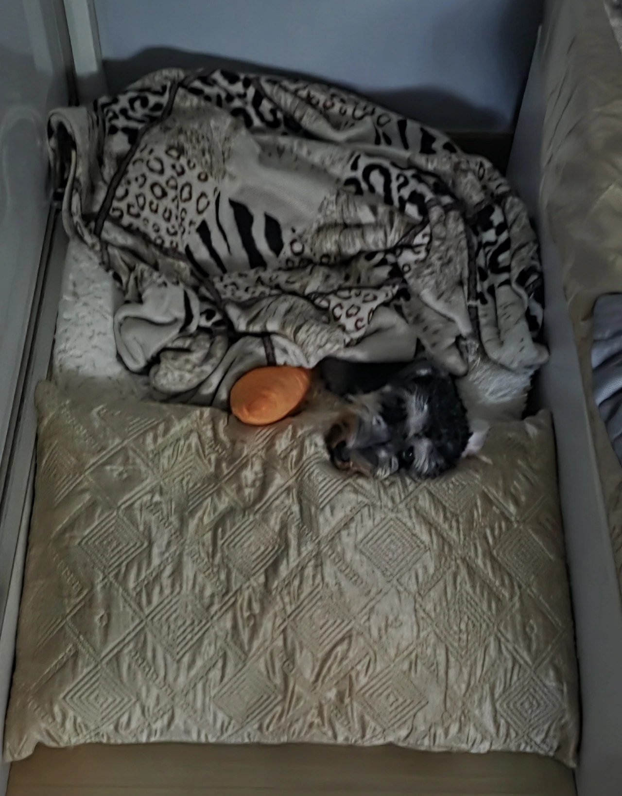 image-15