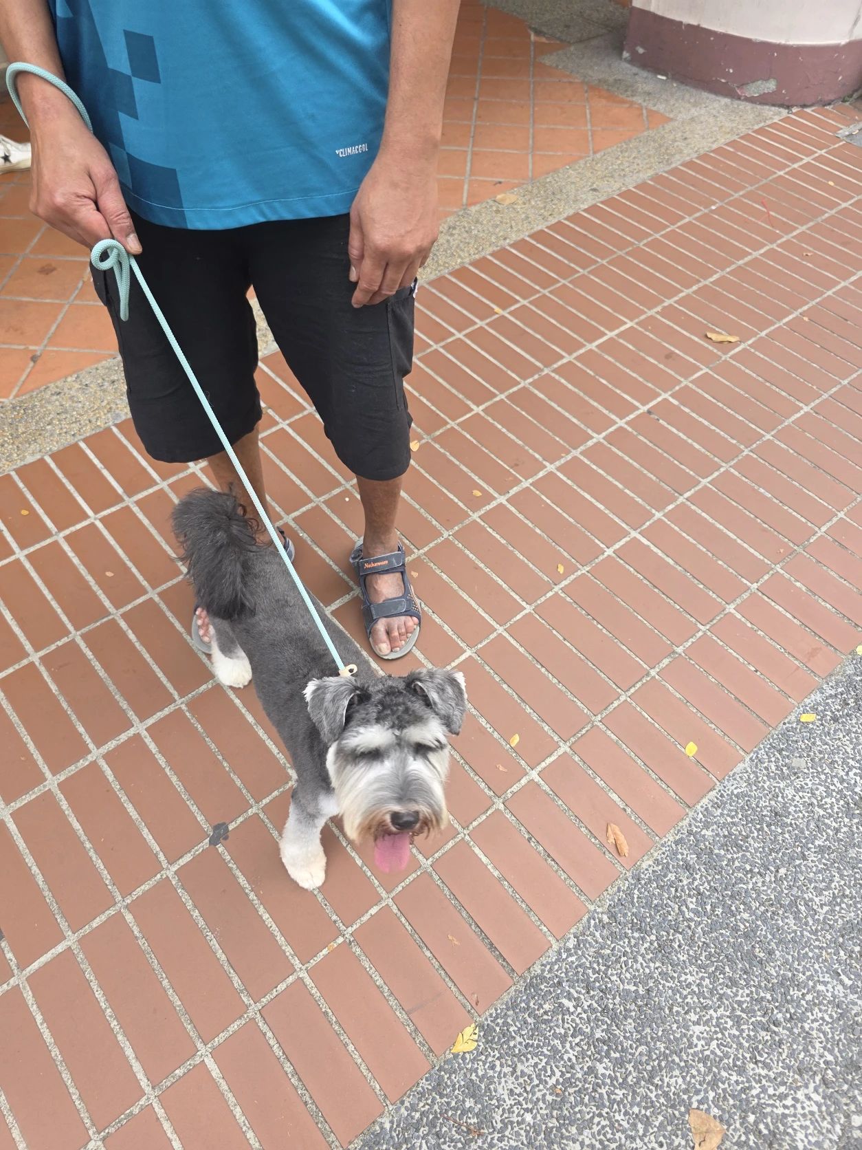 image-5
