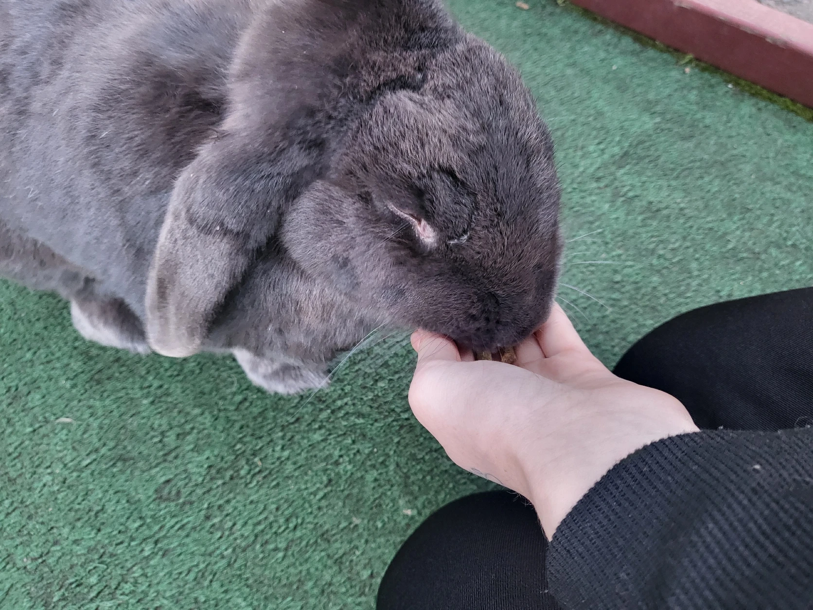 image-7