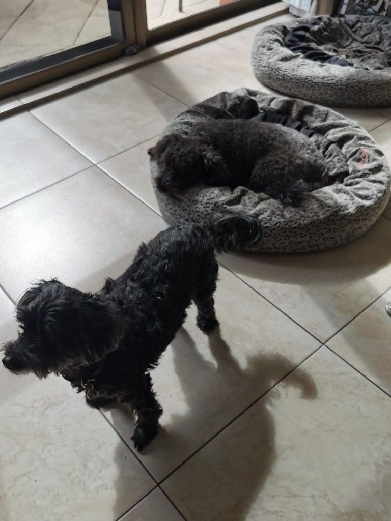 image-46