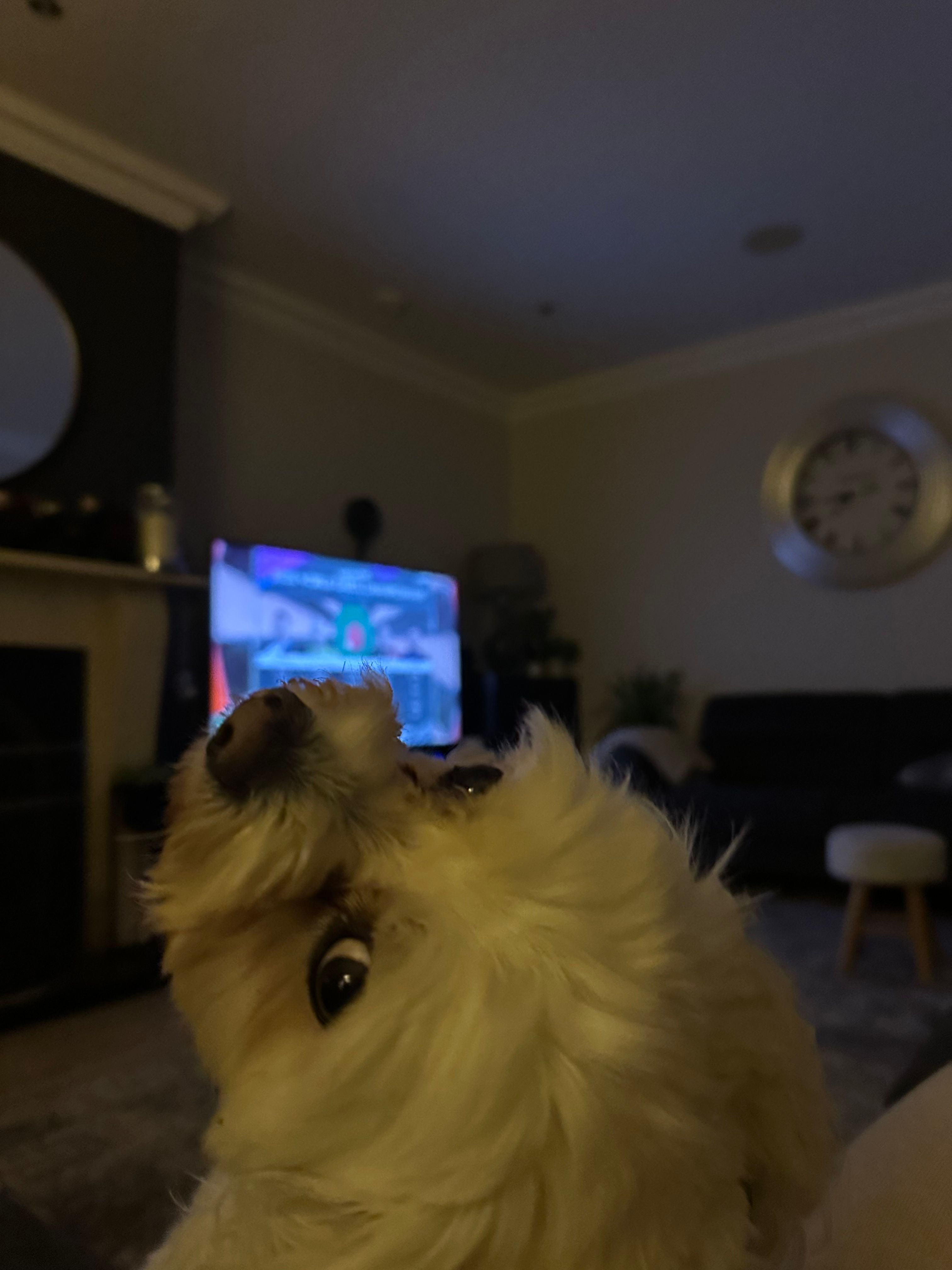 image-8