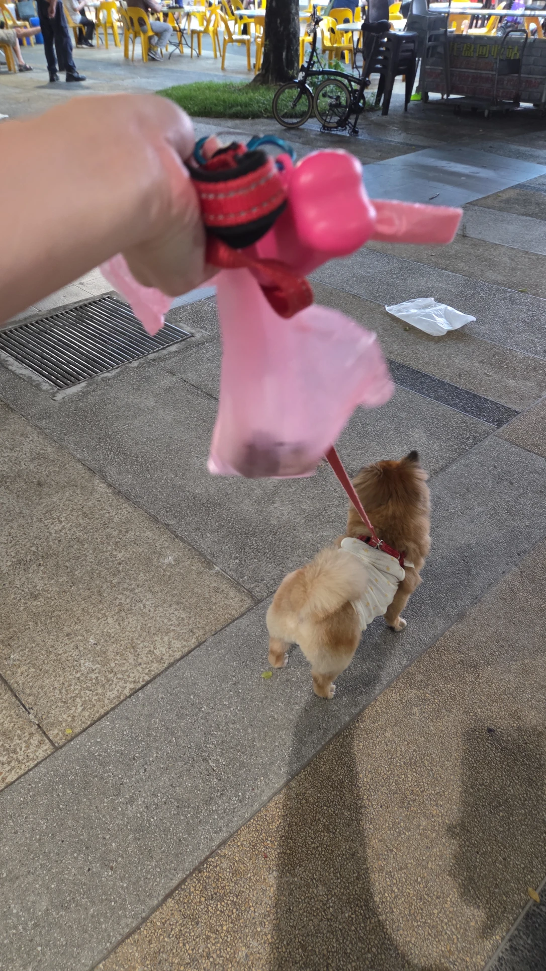 image-5