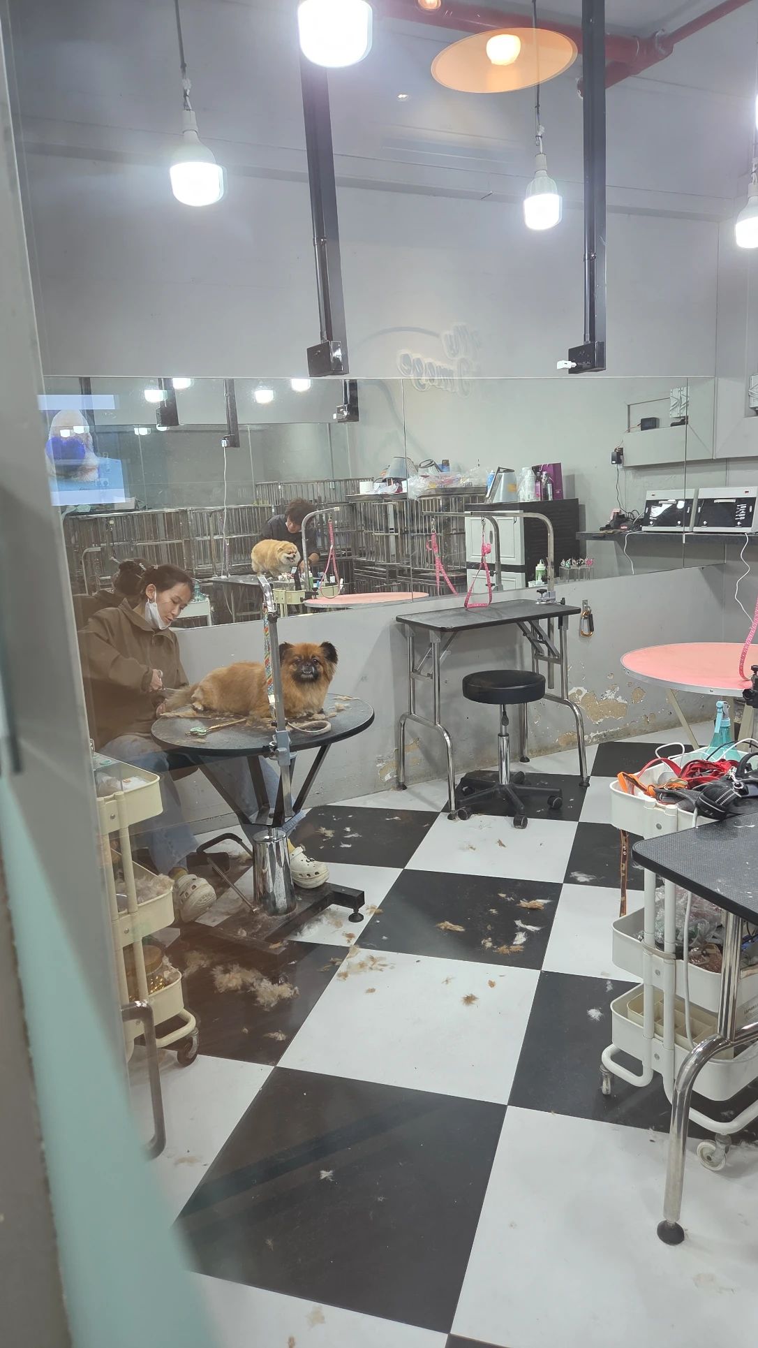 image-6