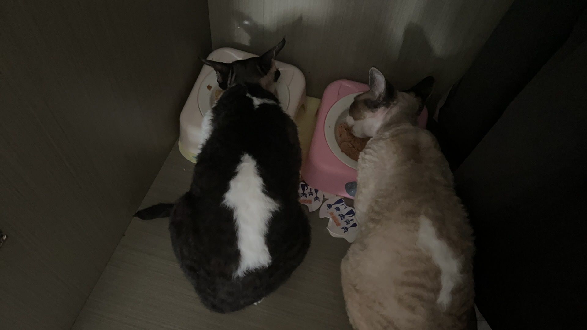 image-13