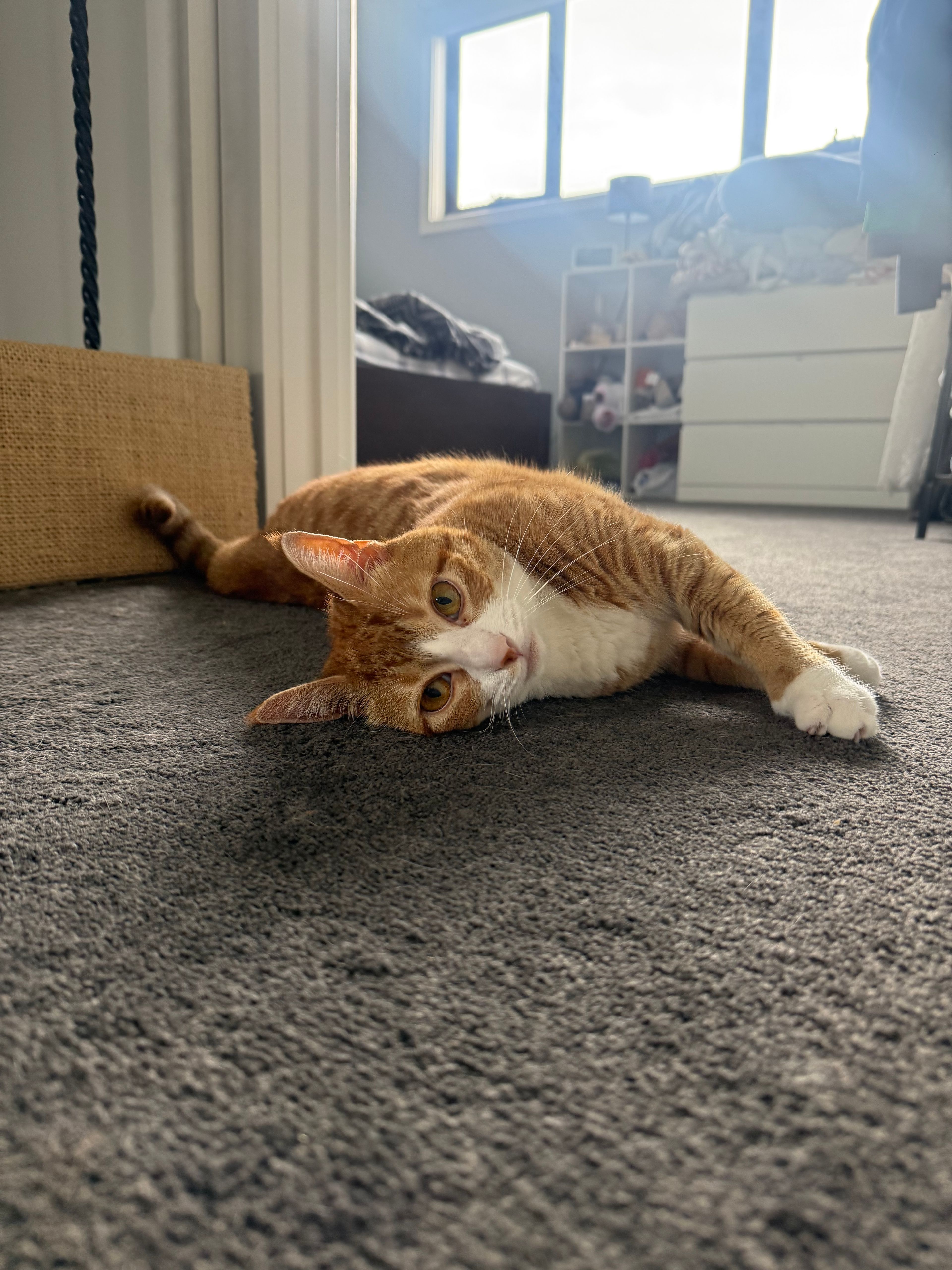 image-6