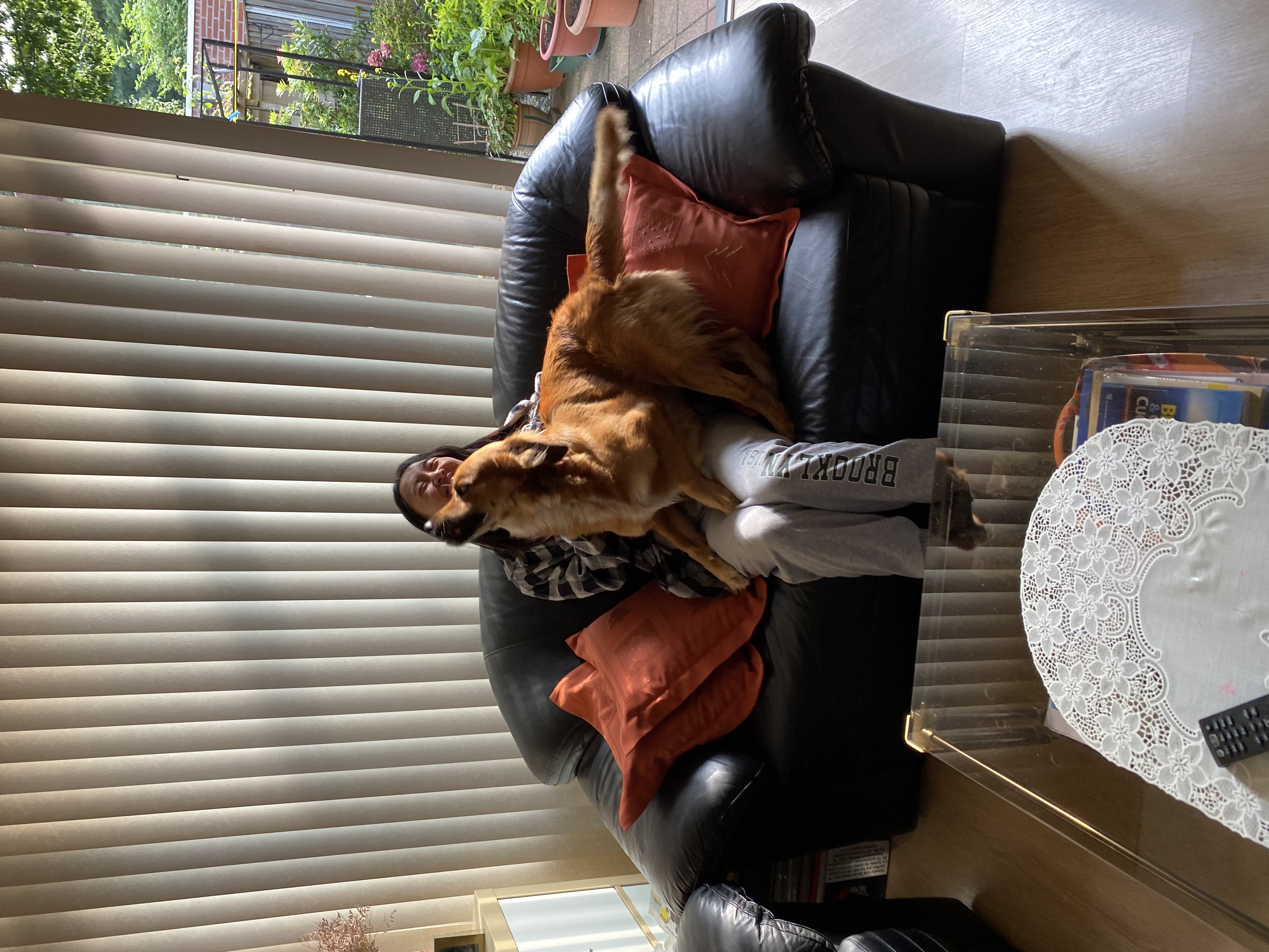 image-16