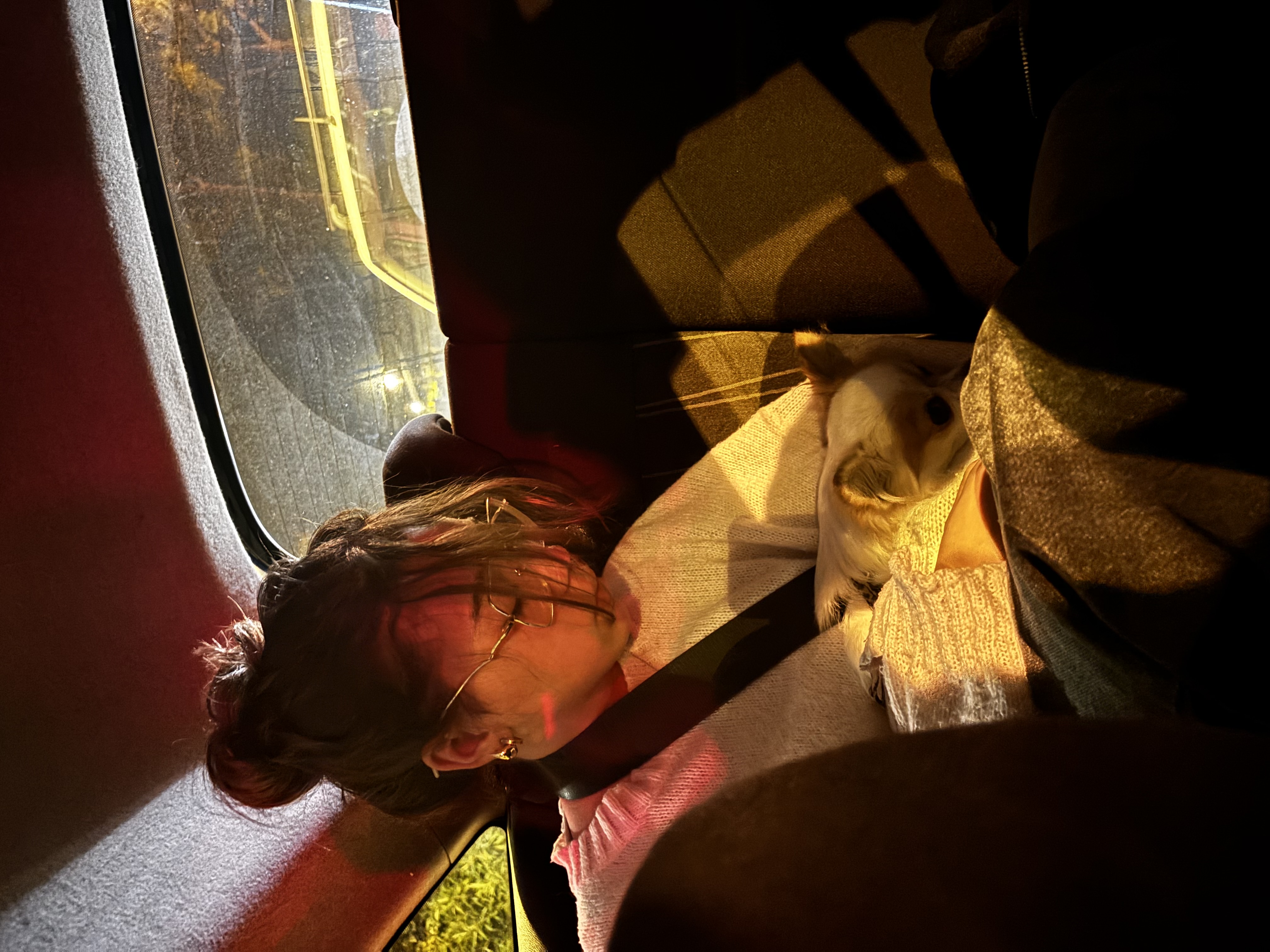 image-7