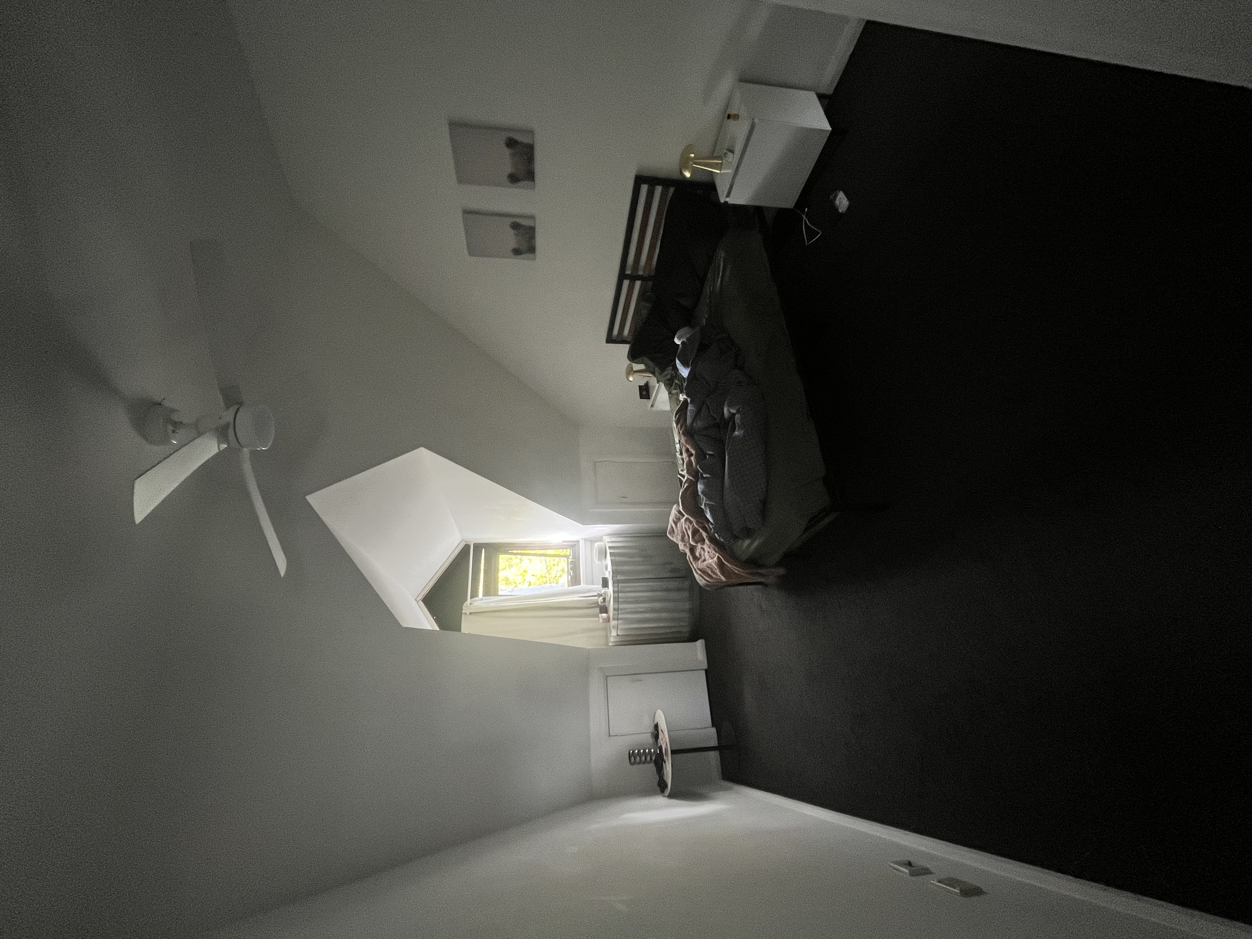 image-19