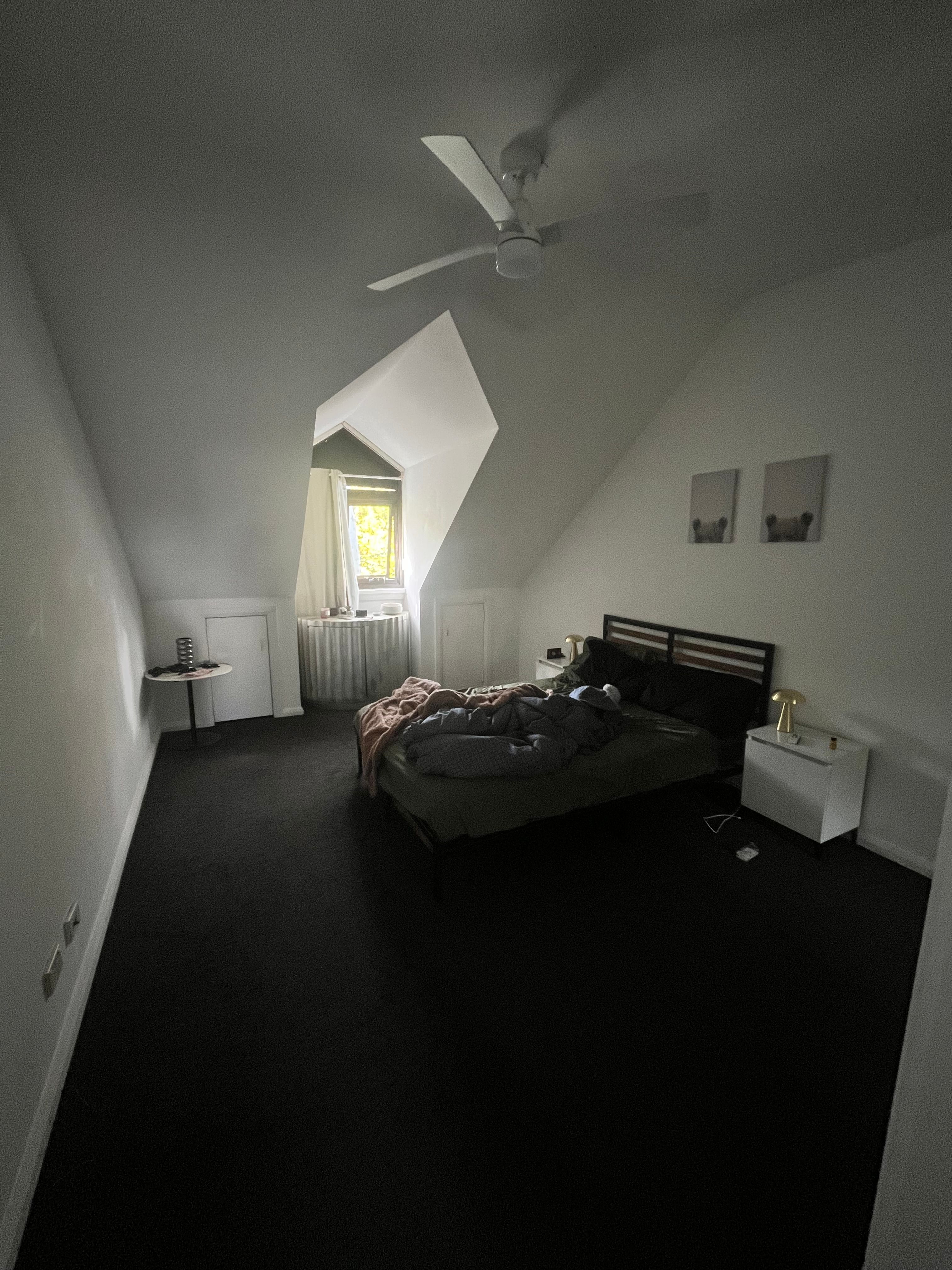 image-19