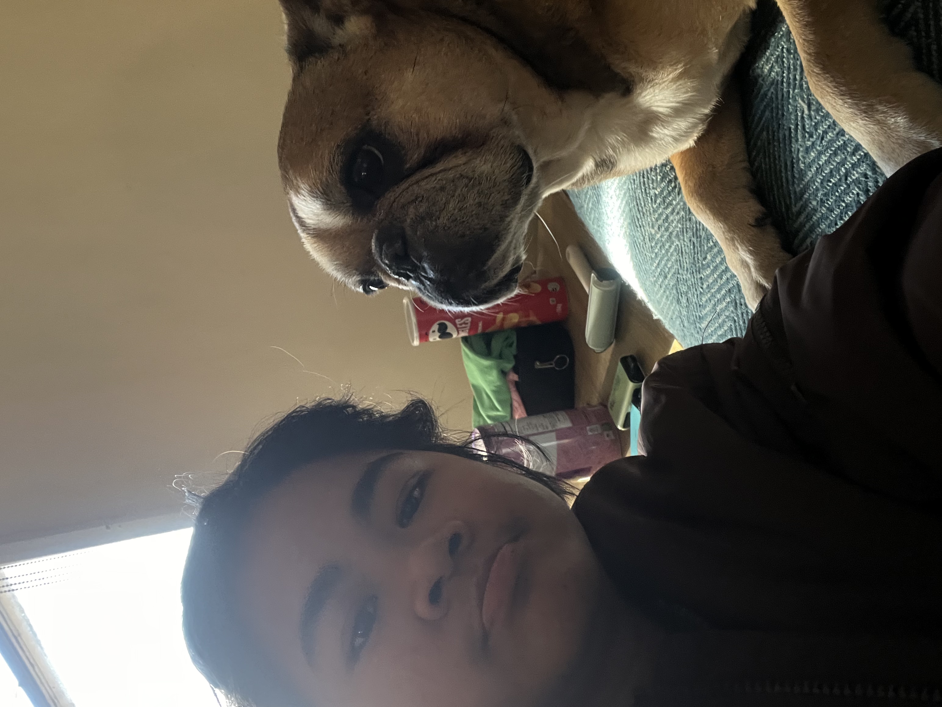 image-14