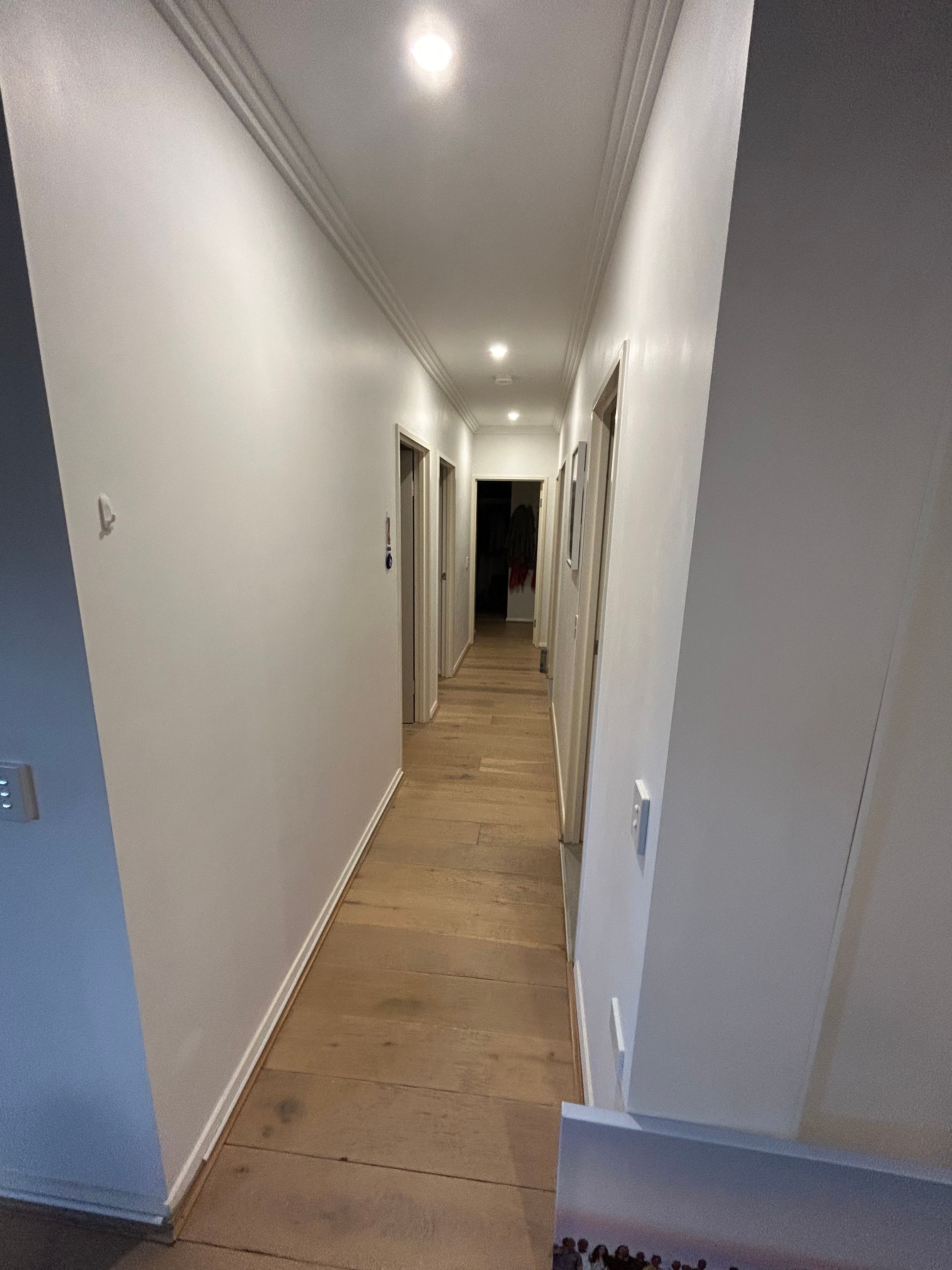 image-19