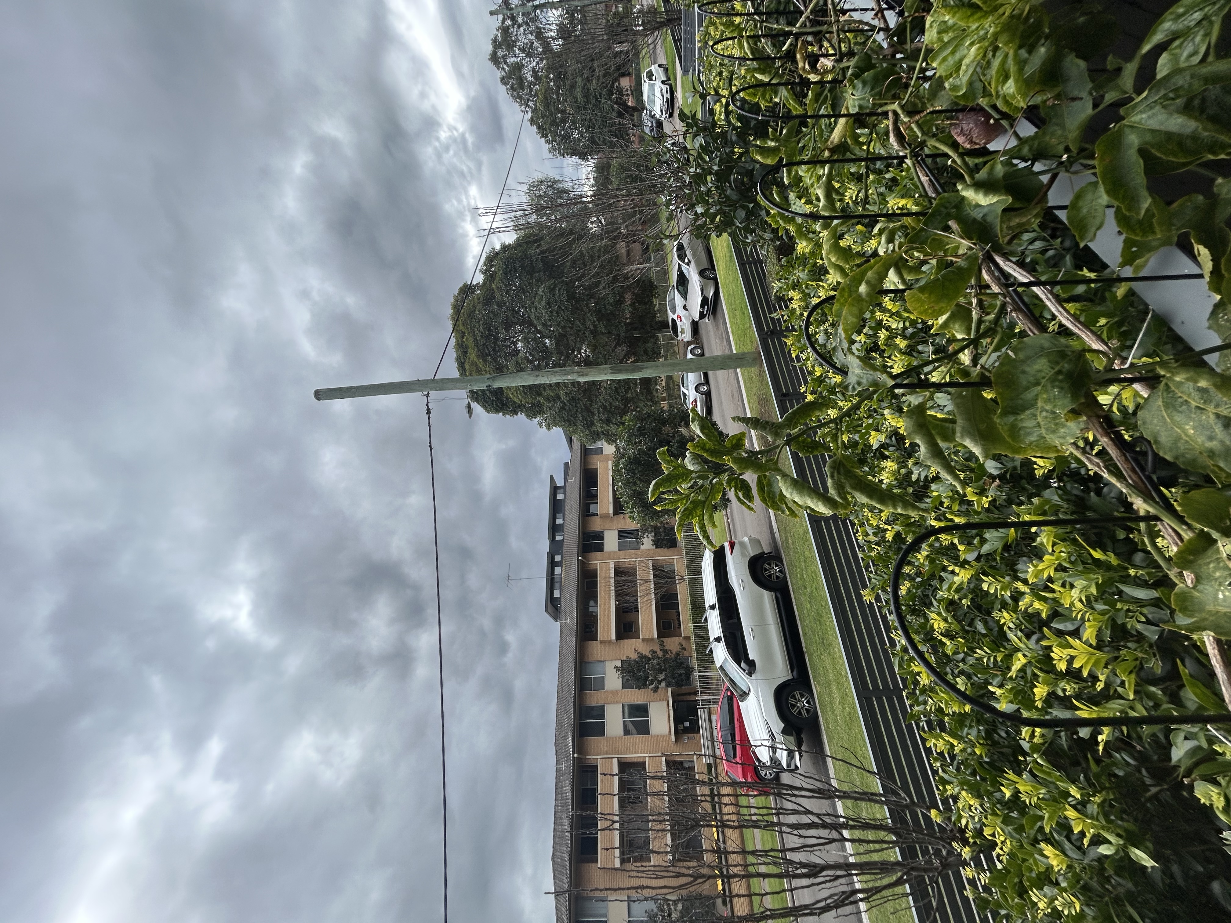image-14