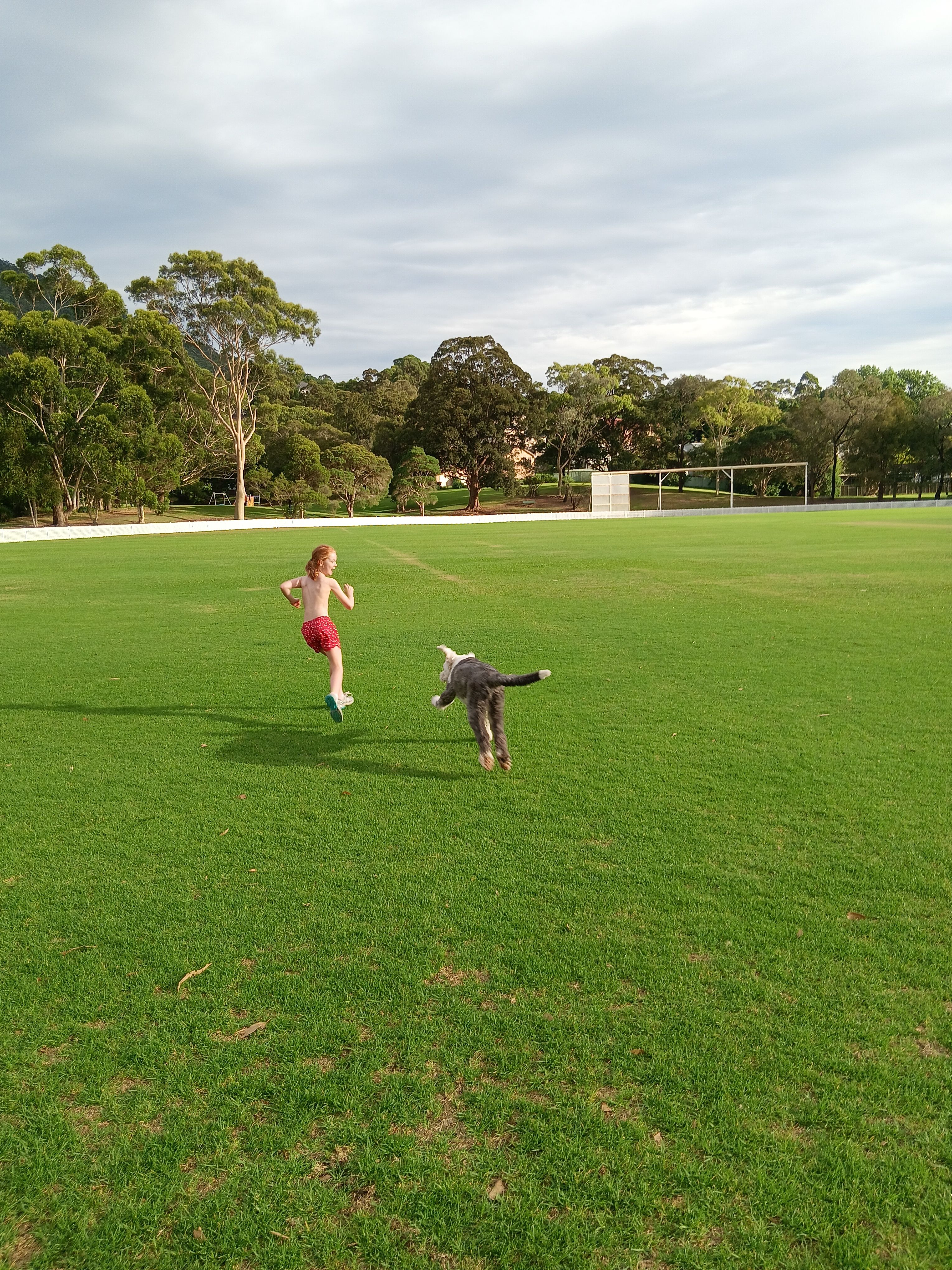 image-5