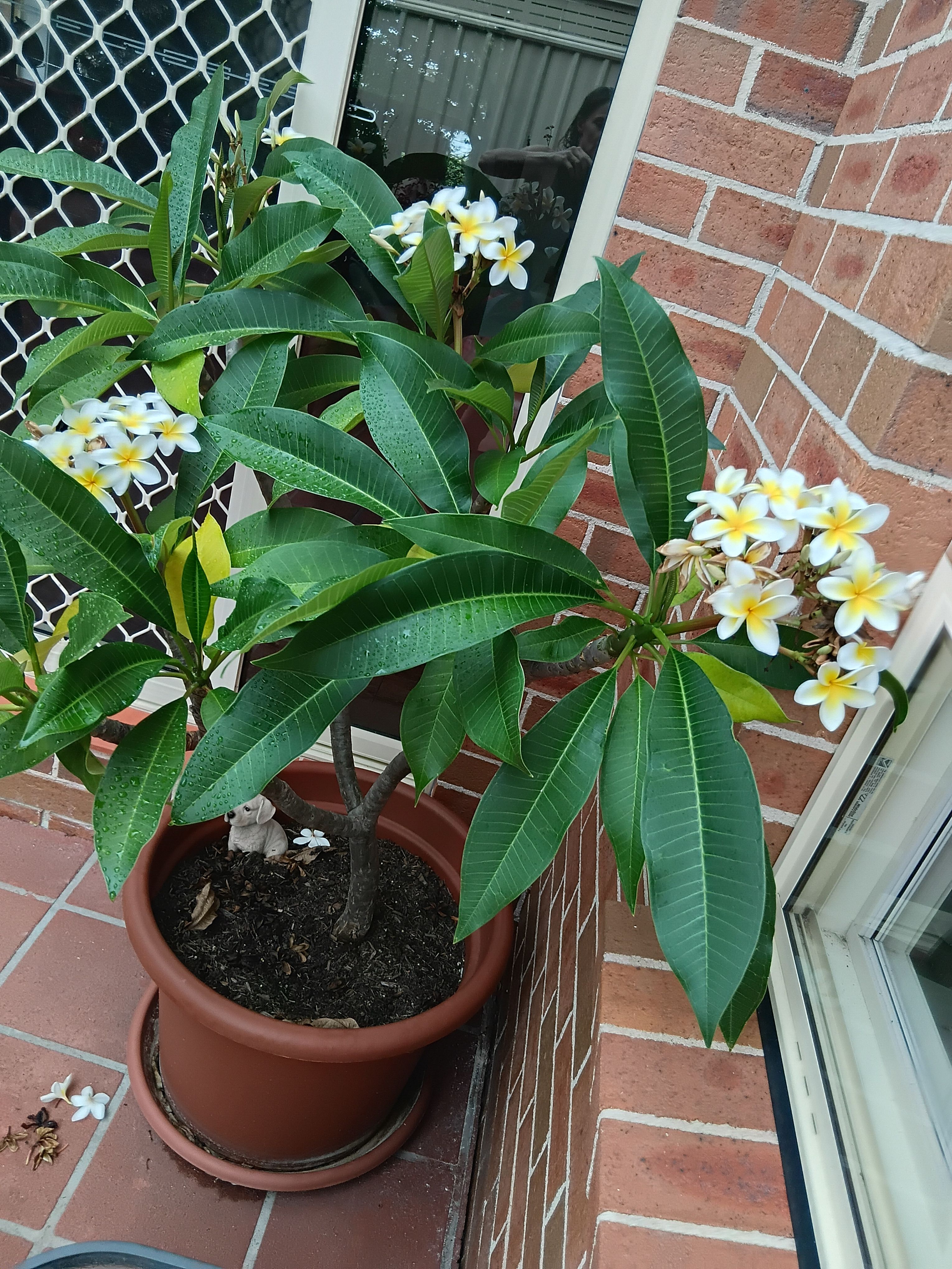 image-20