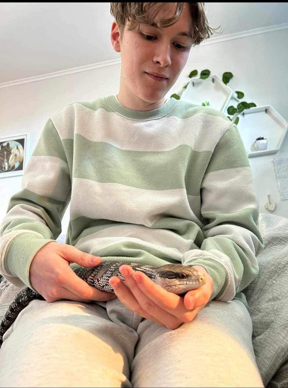 image-11