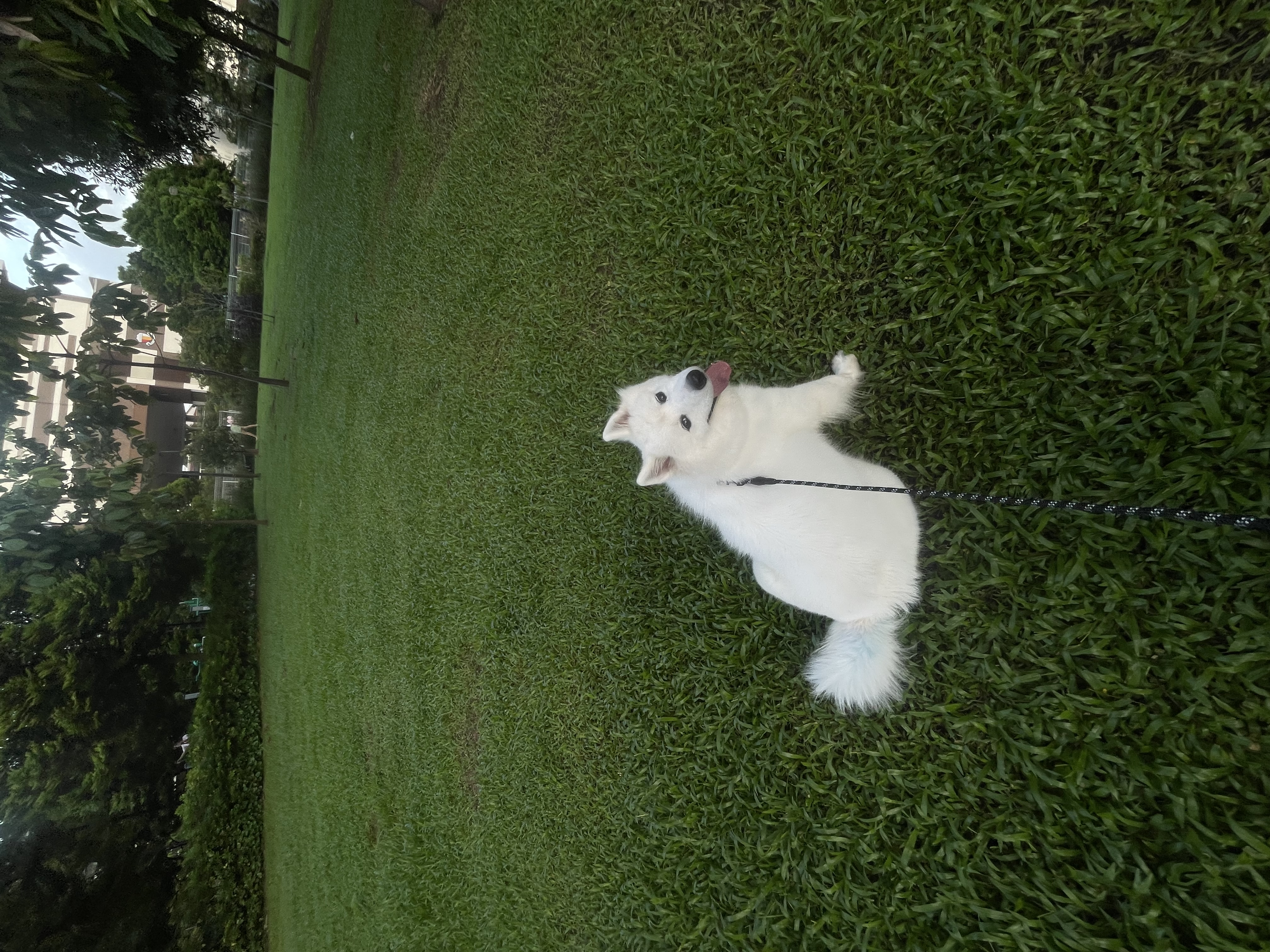 image-6