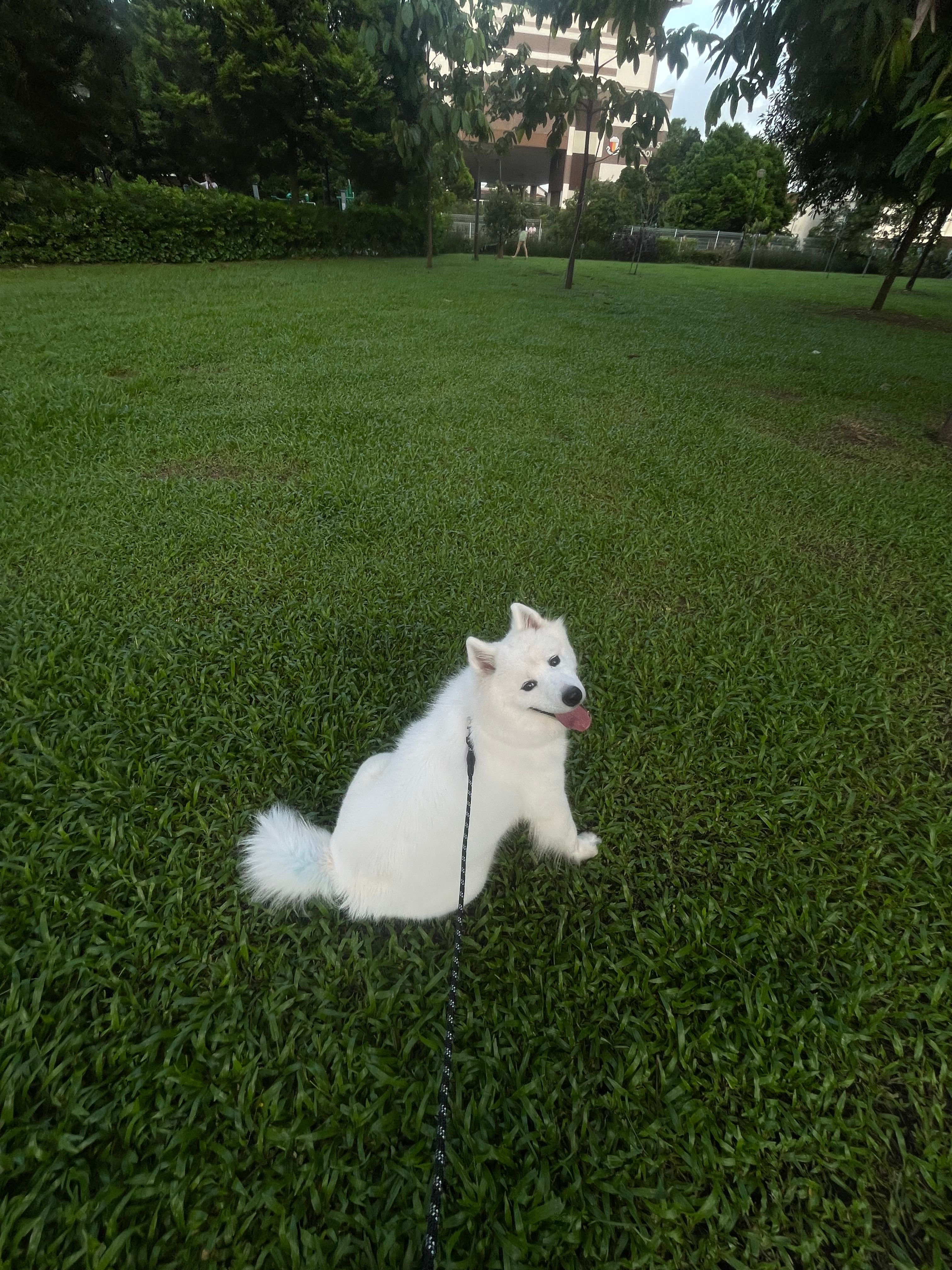 image-6