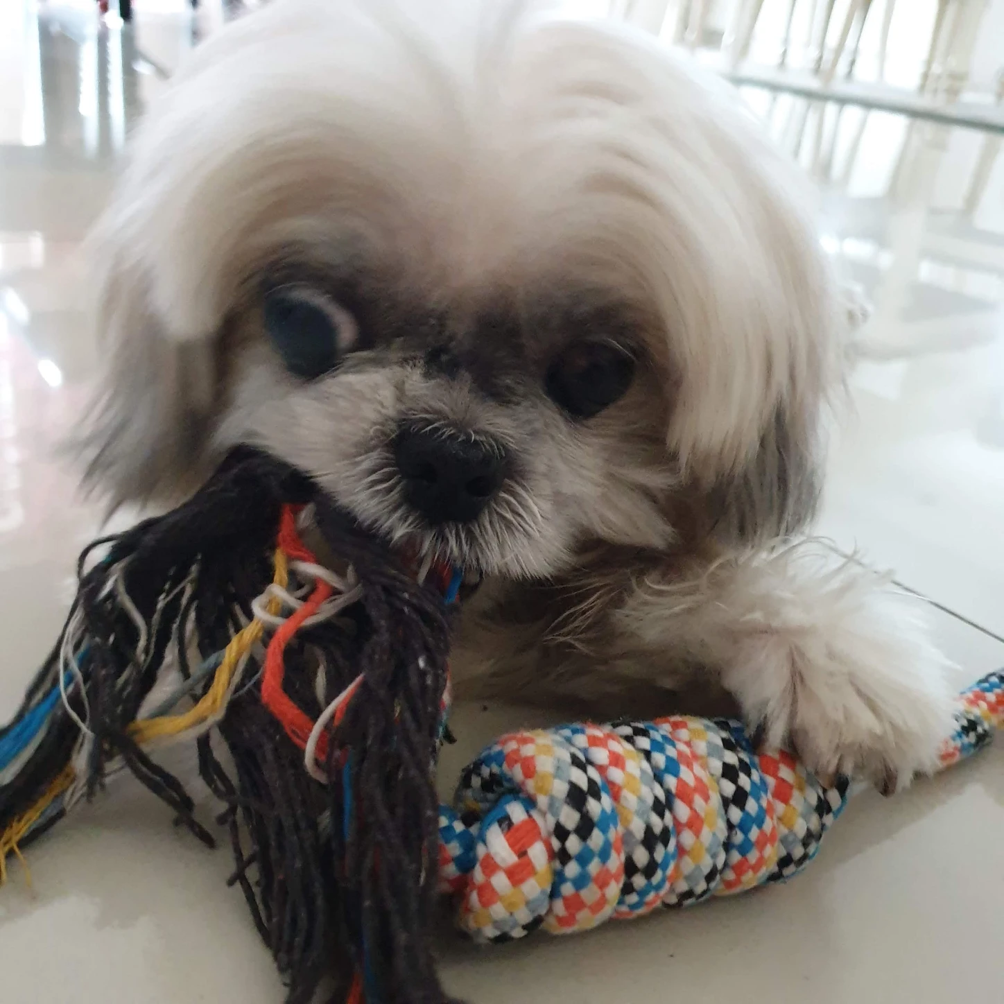 image-7